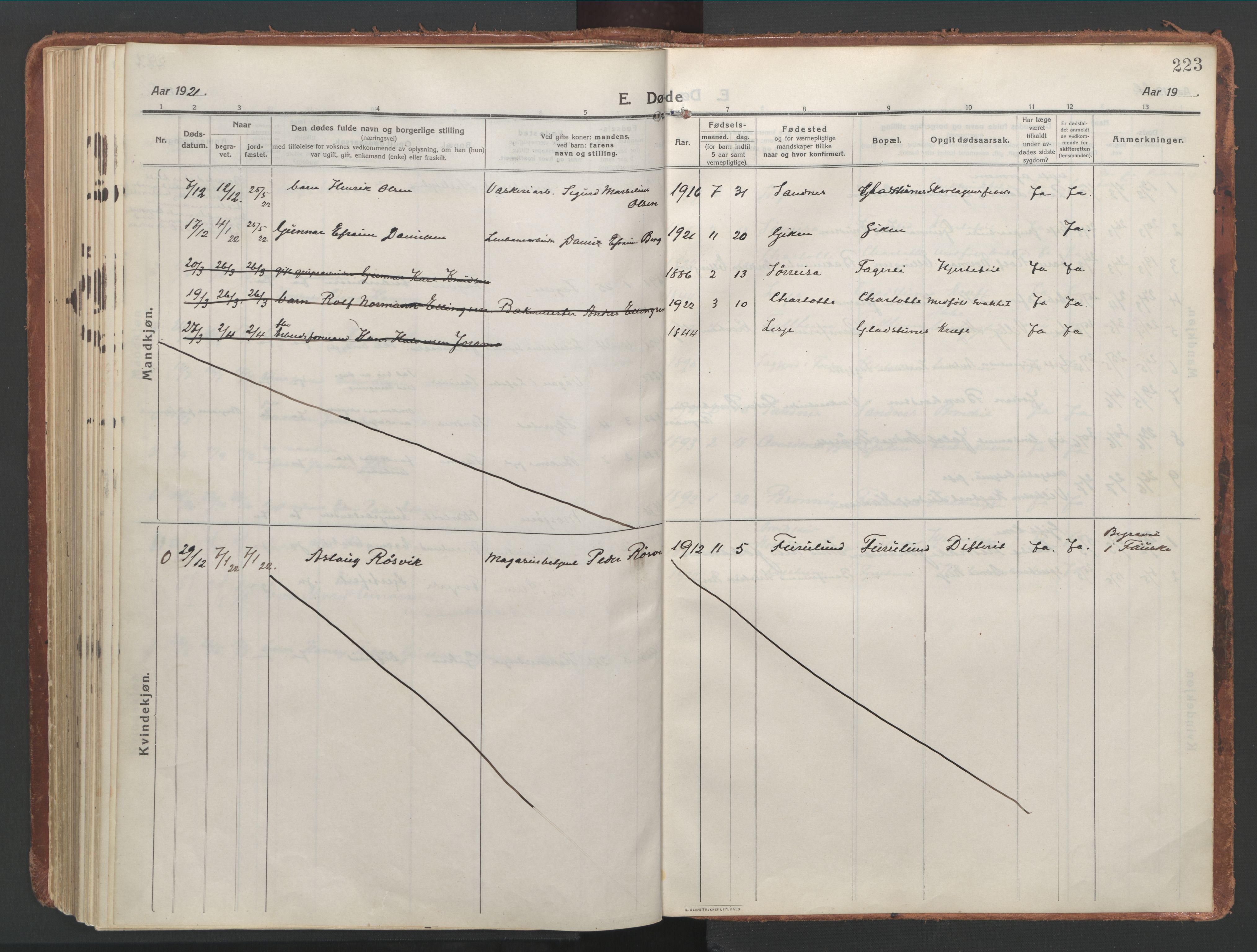 Ministerialprotokoller, klokkerbøker og fødselsregistre - Nordland, AV/SAT-A-1459/850/L0715: Curate's parish register no. 850B05, 1913-1924, p. 223