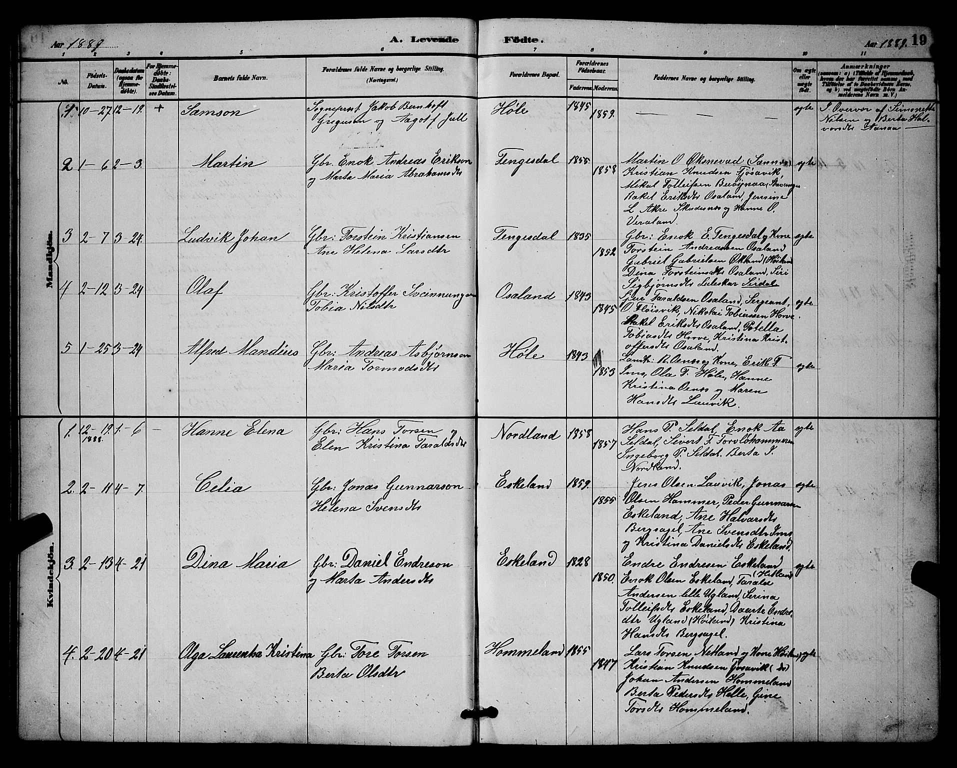 Høgsfjord sokneprestkontor, SAST/A-101624/H/Ha/Hab/L0003: Parish register (copy) no. B 3, 1886-1905, p. 19