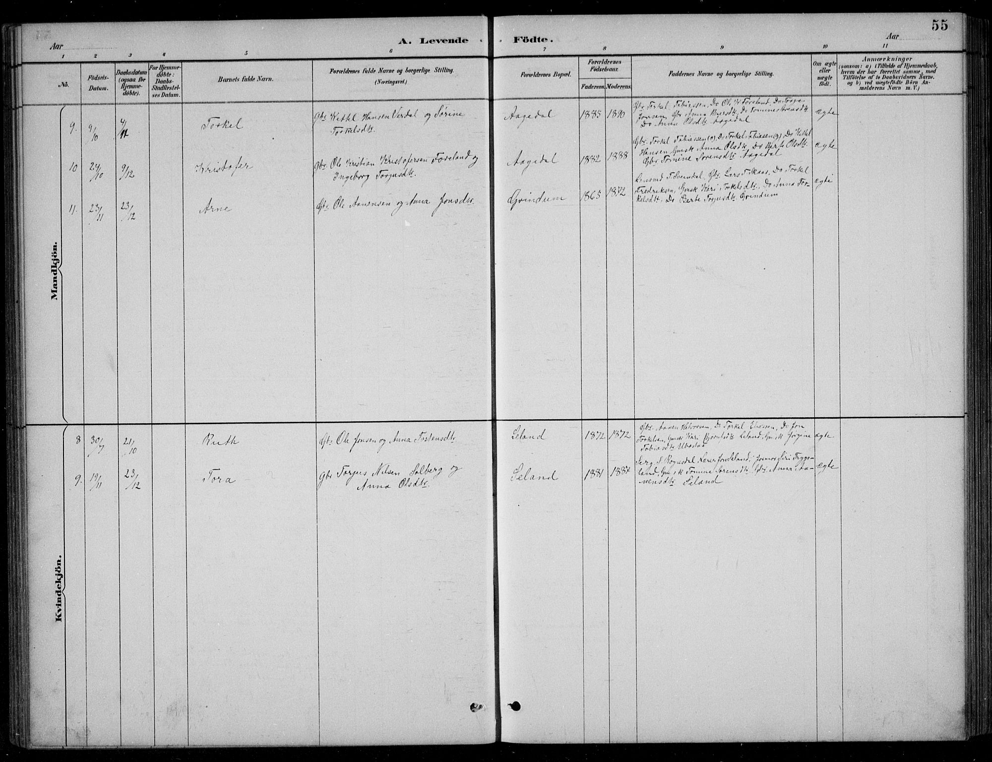 Bjelland sokneprestkontor, SAK/1111-0005/F/Fb/Fbc/L0003: Parish register (copy) no. B 3, 1887-1924, p. 55