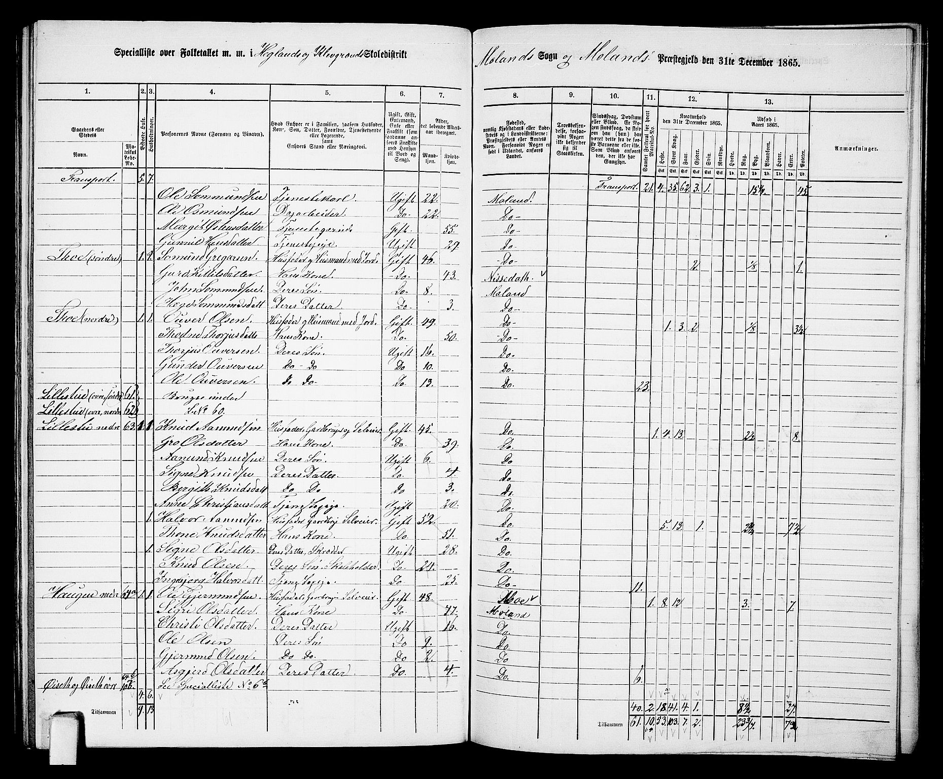 RA, 1865 census for Moland, 1865, p. 61