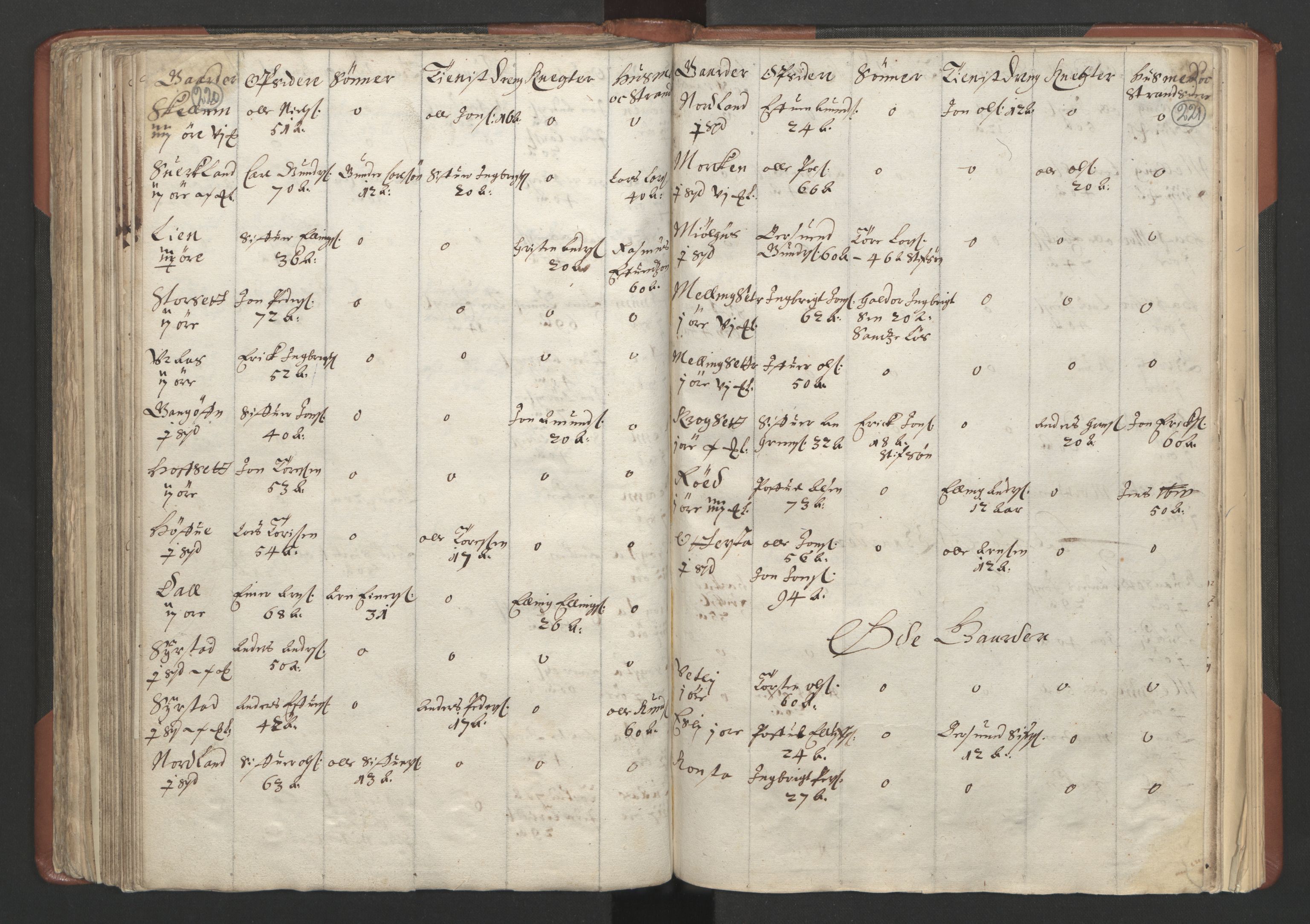 RA, Bailiff's Census 1664-1666, no. 18: Gauldal fogderi, Strinda fogderi and Orkdal fogderi, 1664, p. 220-221