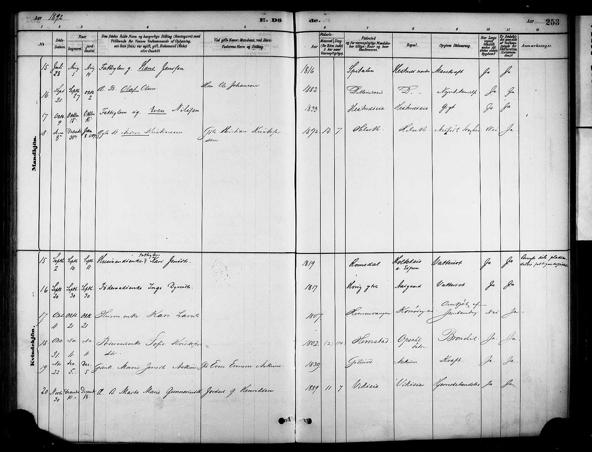 Stange prestekontor, AV/SAH-PREST-002/K/L0018: Parish register (official) no. 18, 1880-1896, p. 253