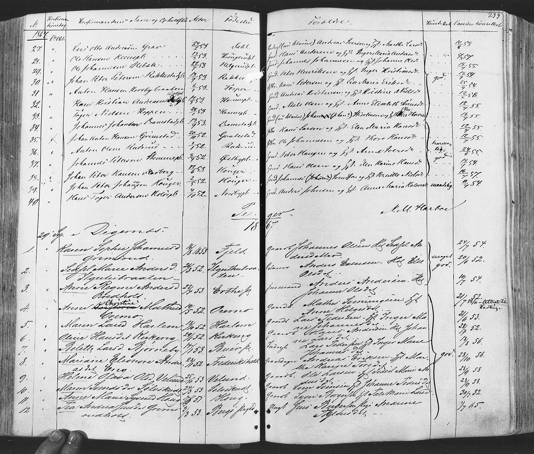 Rakkestad prestekontor Kirkebøker, AV/SAO-A-2008/F/Fa/L0011: Parish register (official) no. I 11, 1862-1877, p. 233