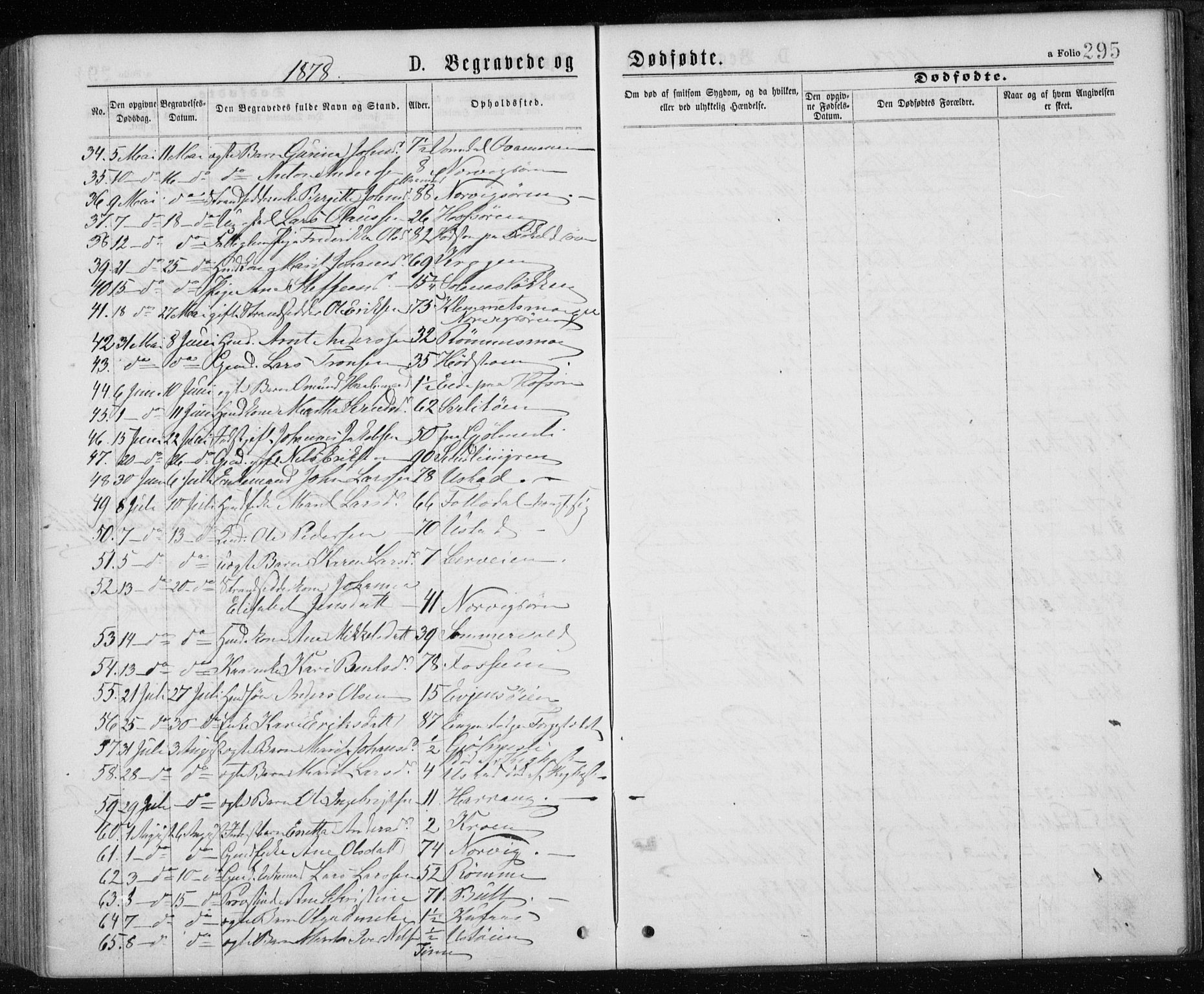 Ministerialprotokoller, klokkerbøker og fødselsregistre - Sør-Trøndelag, AV/SAT-A-1456/668/L0817: Parish register (copy) no. 668C06, 1873-1884, p. 295