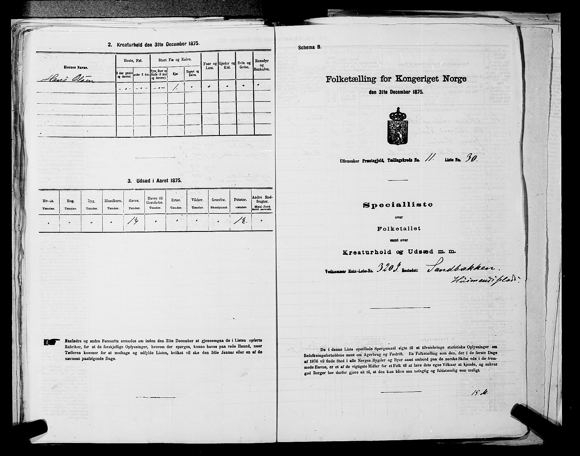 RA, 1875 census for 0235P Ullensaker, 1875, p. 1715