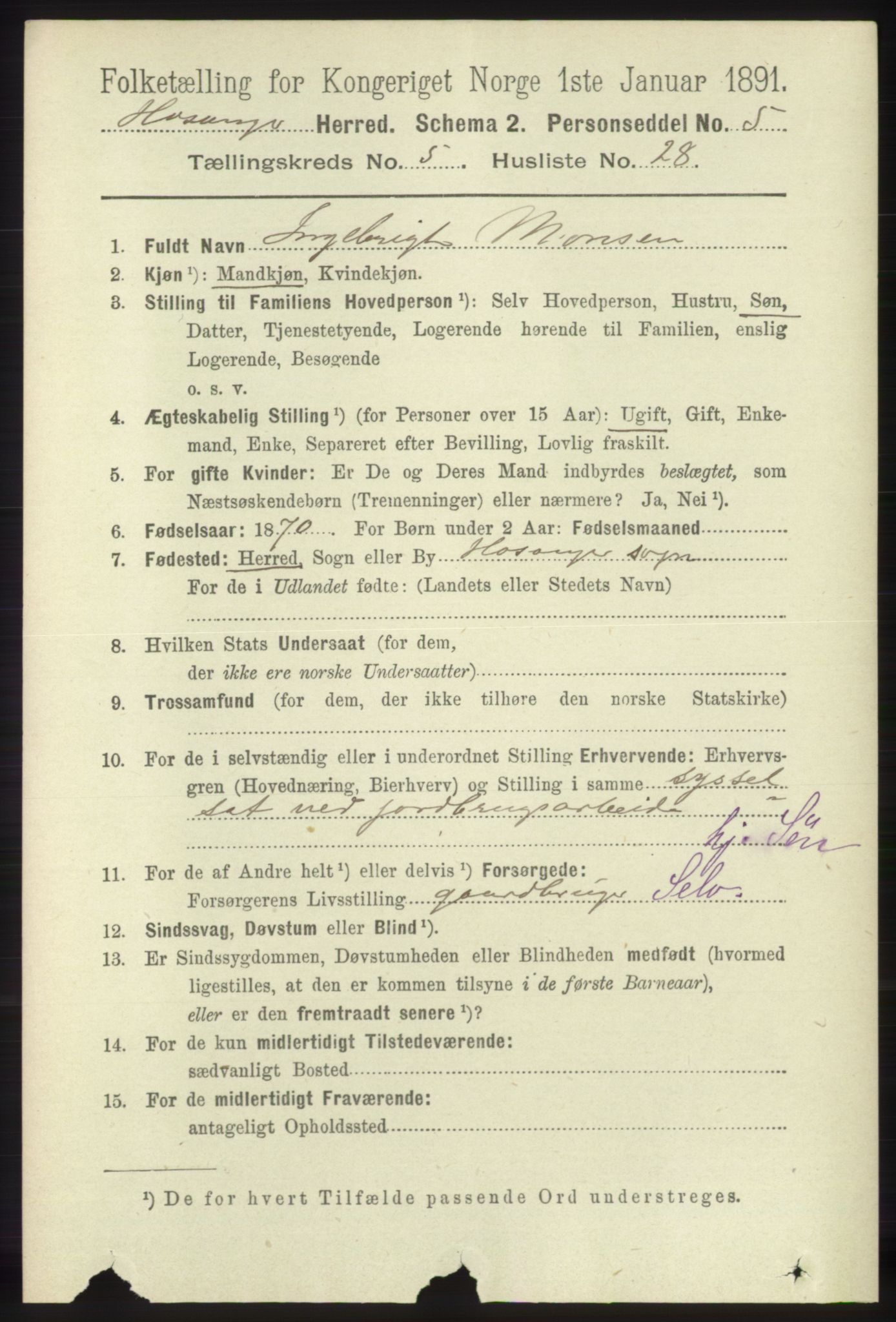 RA, 1891 census for 1253 Hosanger, 1891, p. 1986