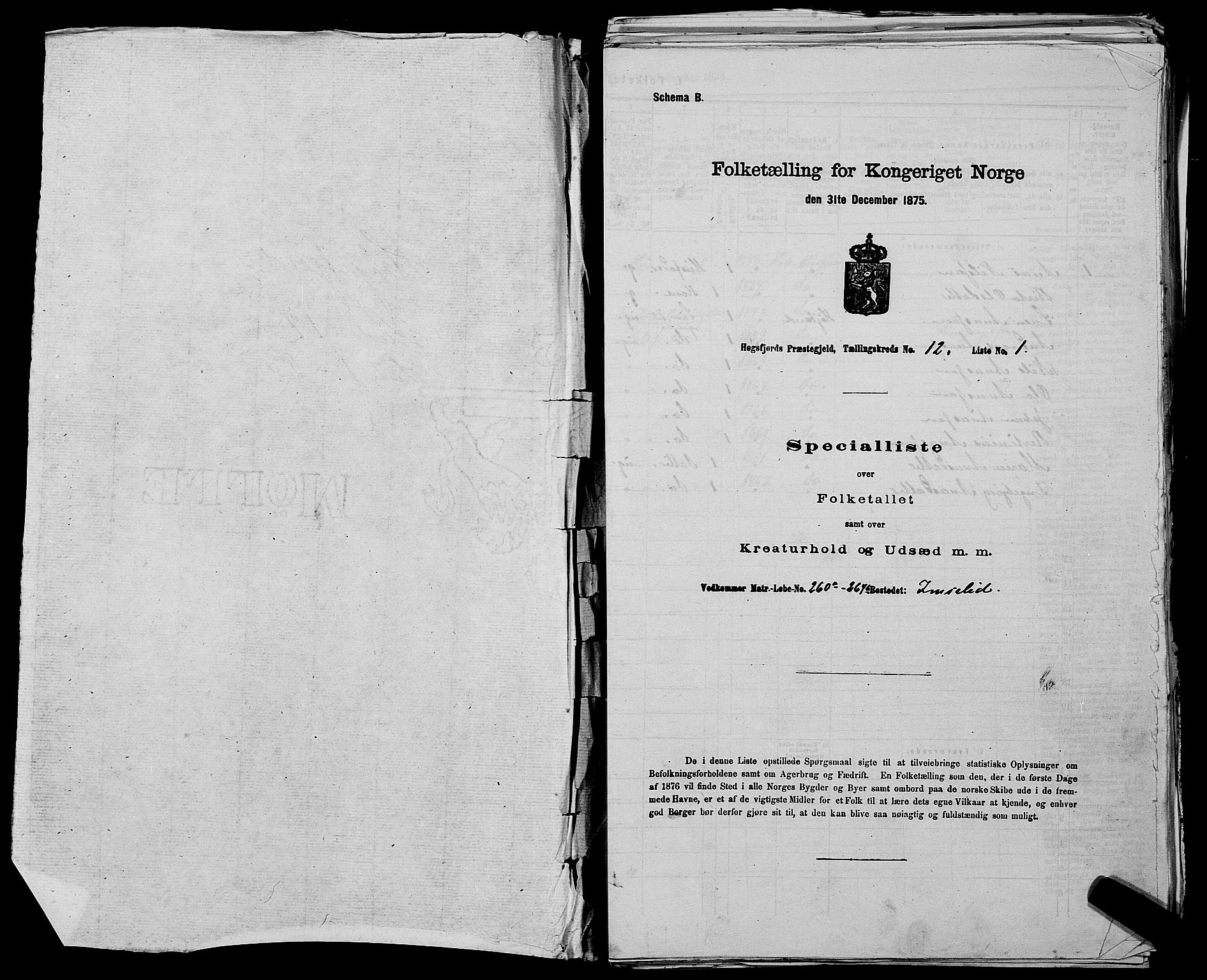 SAST, 1875 census for 1128P Høgsfjord, 1875, p. 1007