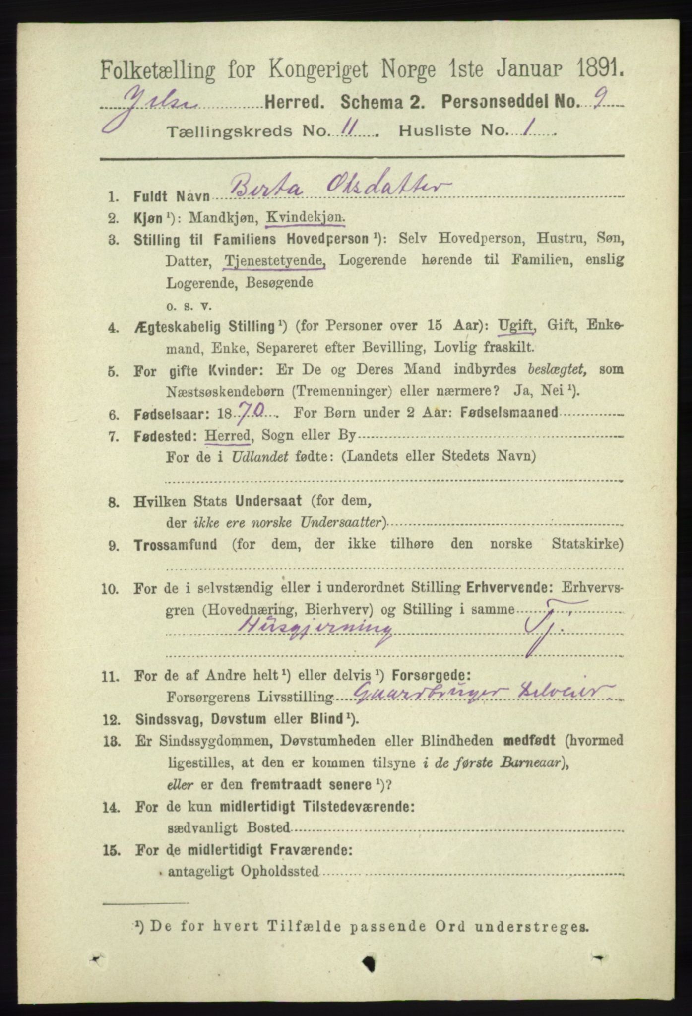 RA, 1891 census for 1138 Jelsa, 1891, p. 2780