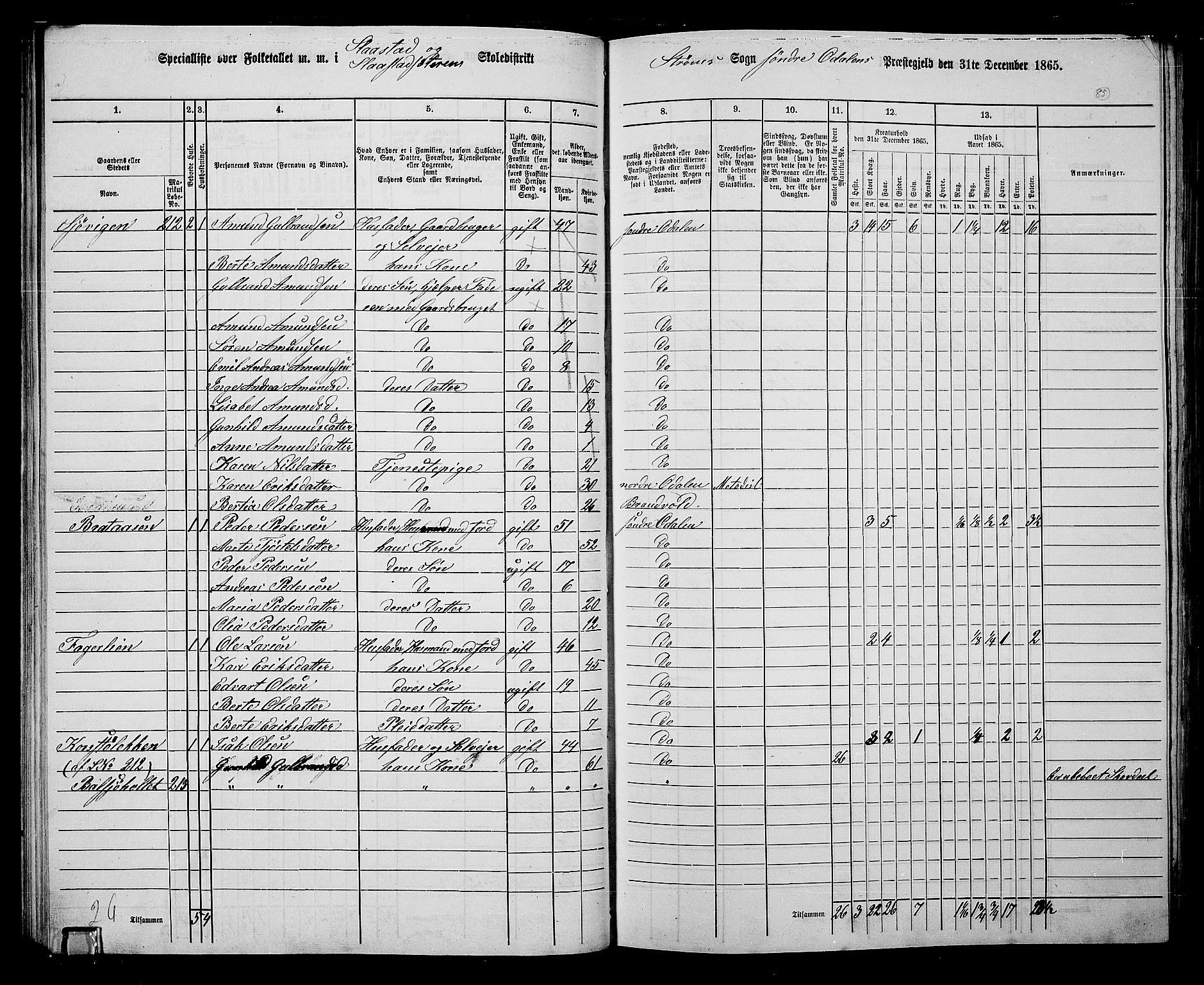 RA, 1865 census for Sør-Odal, 1865, p. 75