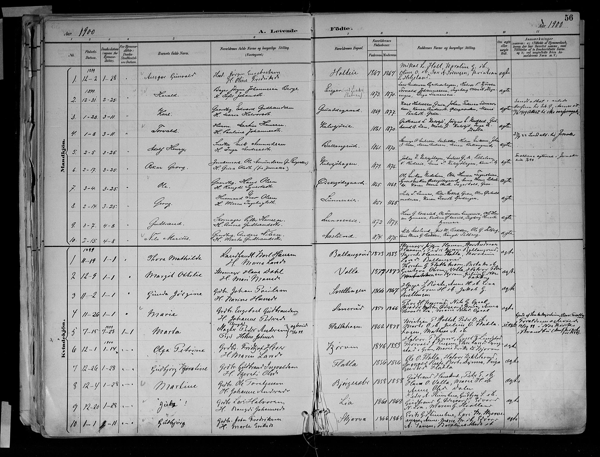 Jevnaker prestekontor, SAH/PREST-116/H/Ha/Haa/L0010: Parish register (official) no. 10, 1891-1906, p. 56