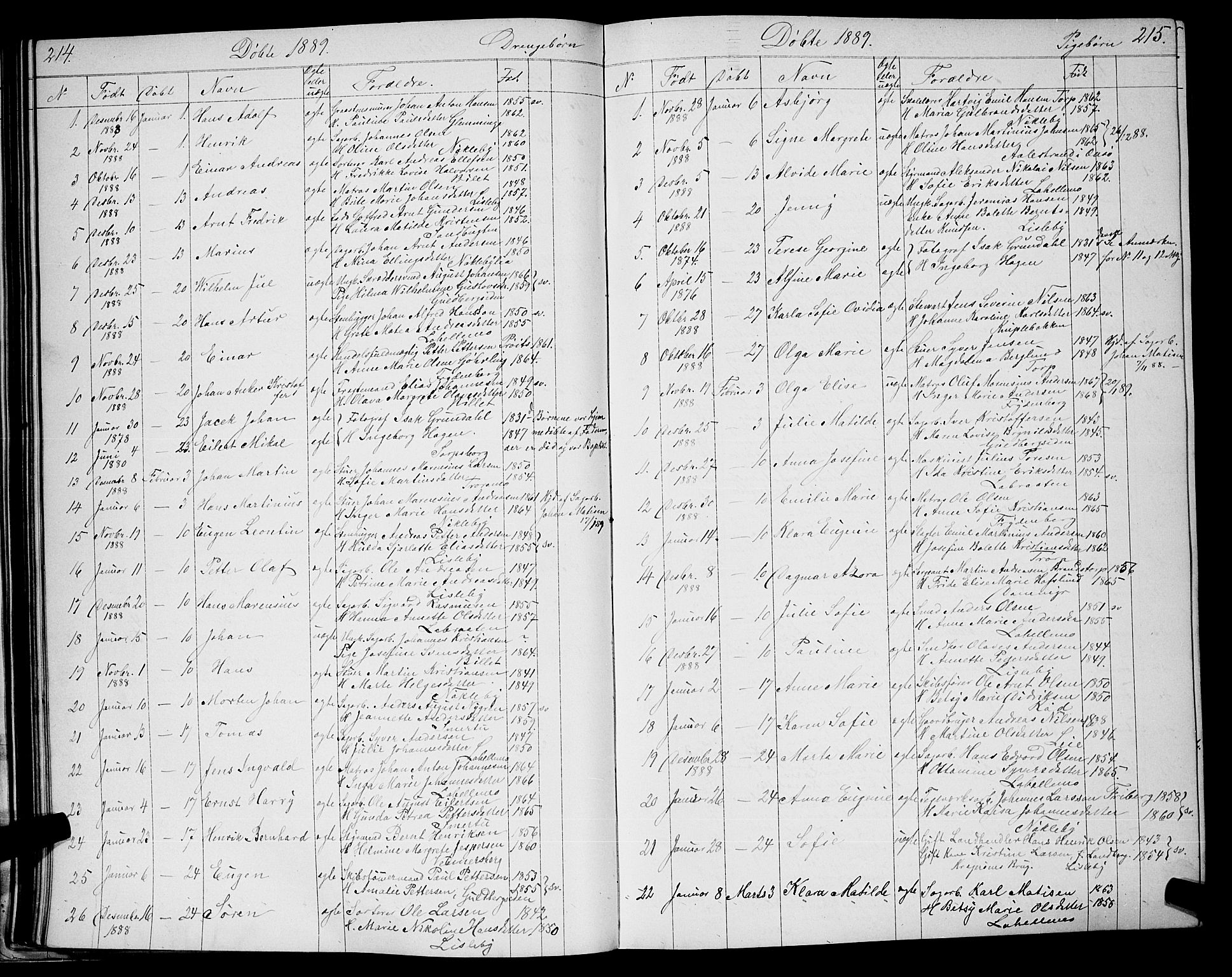 Glemmen prestekontor Kirkebøker, AV/SAO-A-10908/G/Ga/L0005: Parish register (copy) no. 5, 1876-1893, p. 214-215