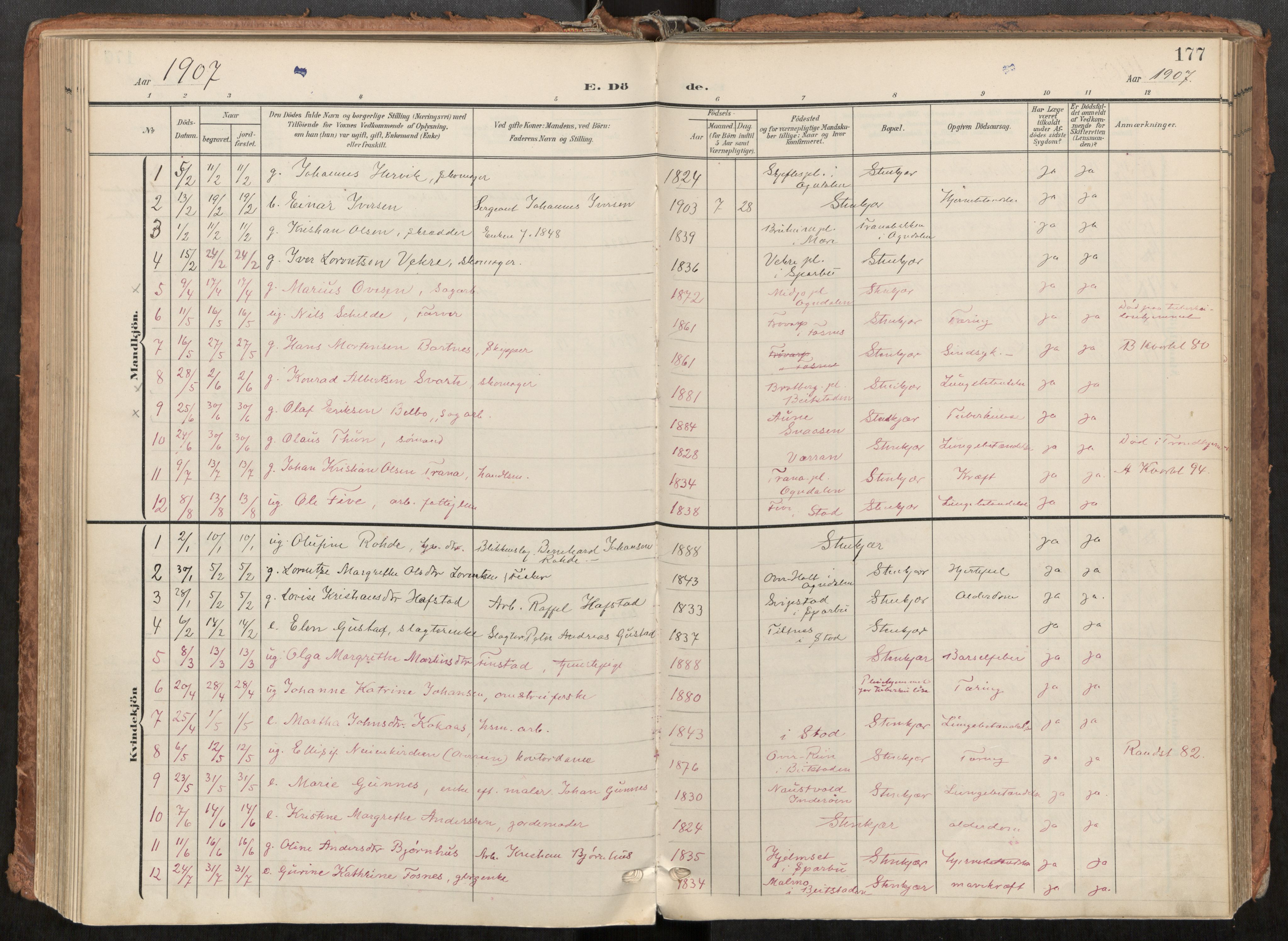 Steinkjer sokneprestkontor, AV/SAT-A-1541/01/H/Ha/Haa/L0001: Parish register (official) no. 1, 1904-1912, p. 177