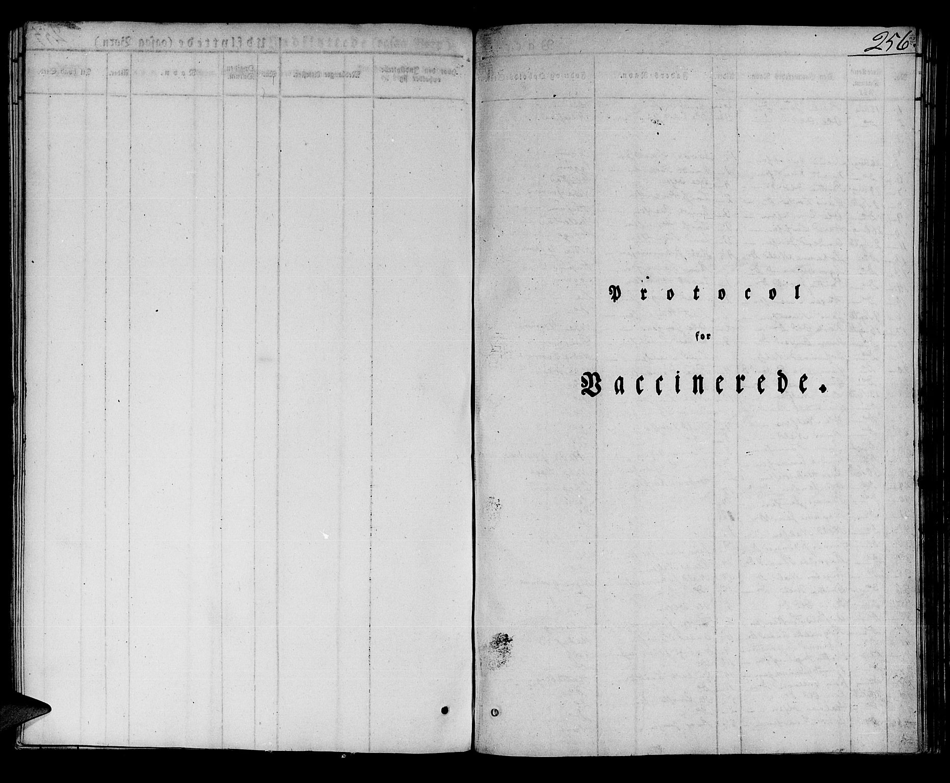 Lærdal sokneprestembete, SAB/A-81201: Parish register (official) no. A 5, 1822-1834, p. 256
