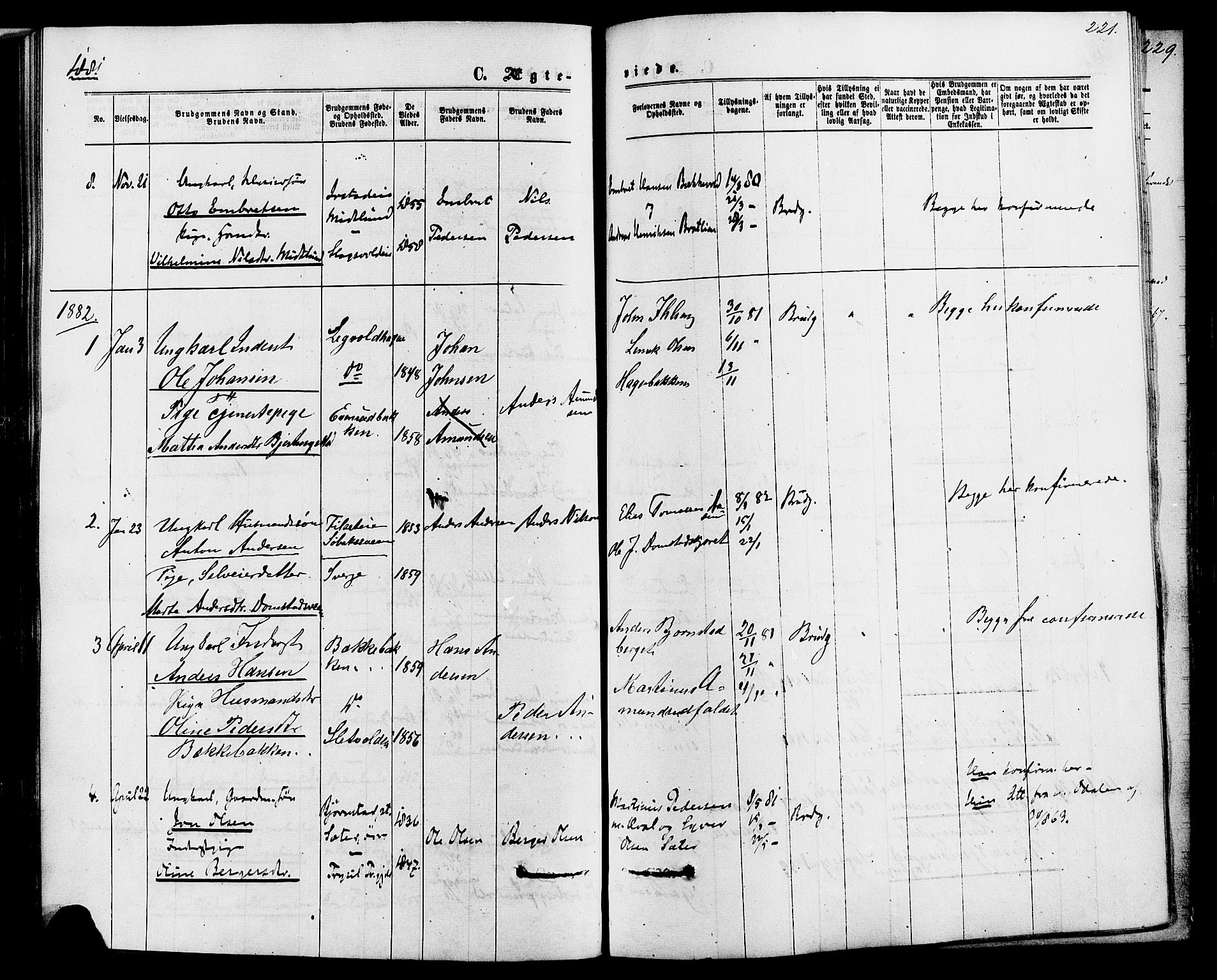 Romedal prestekontor, AV/SAH-PREST-004/K/L0006: Parish register (official) no. 6, 1866-1886, p. 221