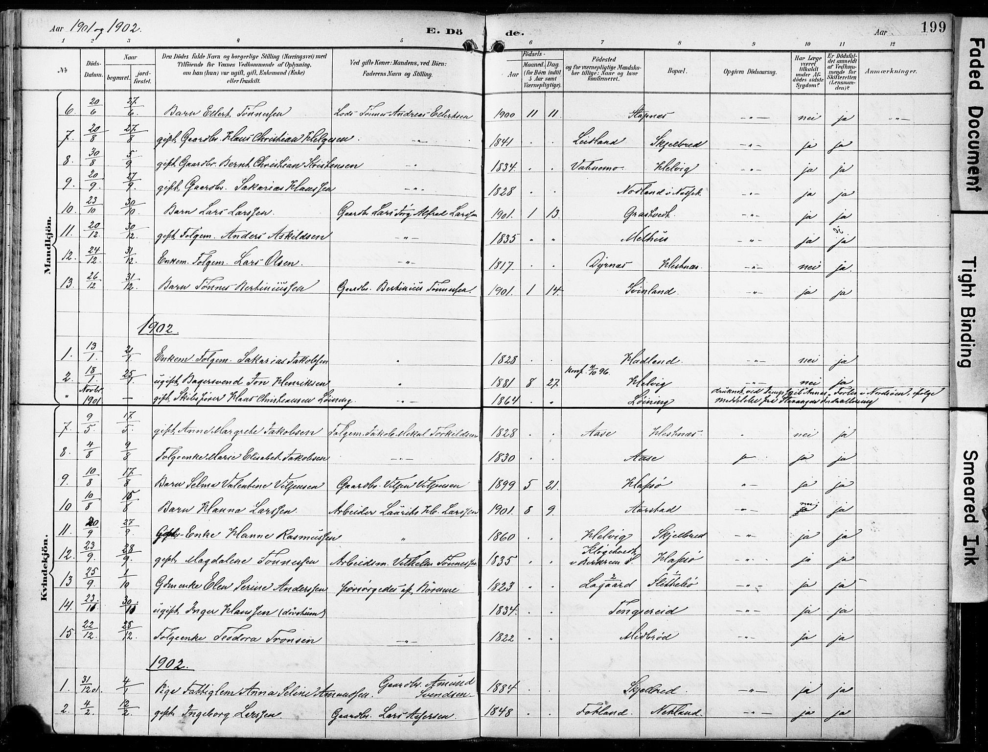 Eigersund sokneprestkontor, SAST/A-101807/S08/L0018: Parish register (official) no. A 17, 1892-1905, p. 199