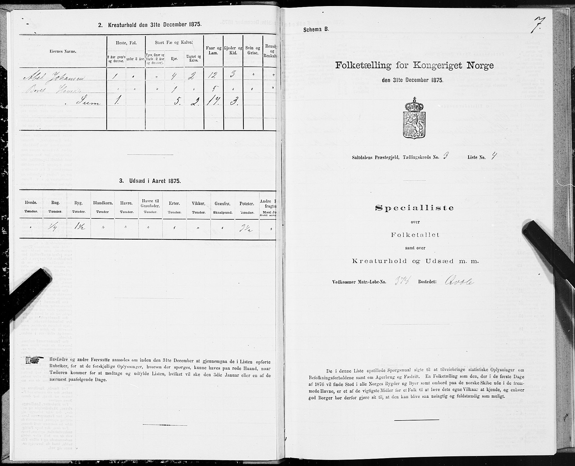 SAT, 1875 census for 1840P Saltdal, 1875, p. 2007