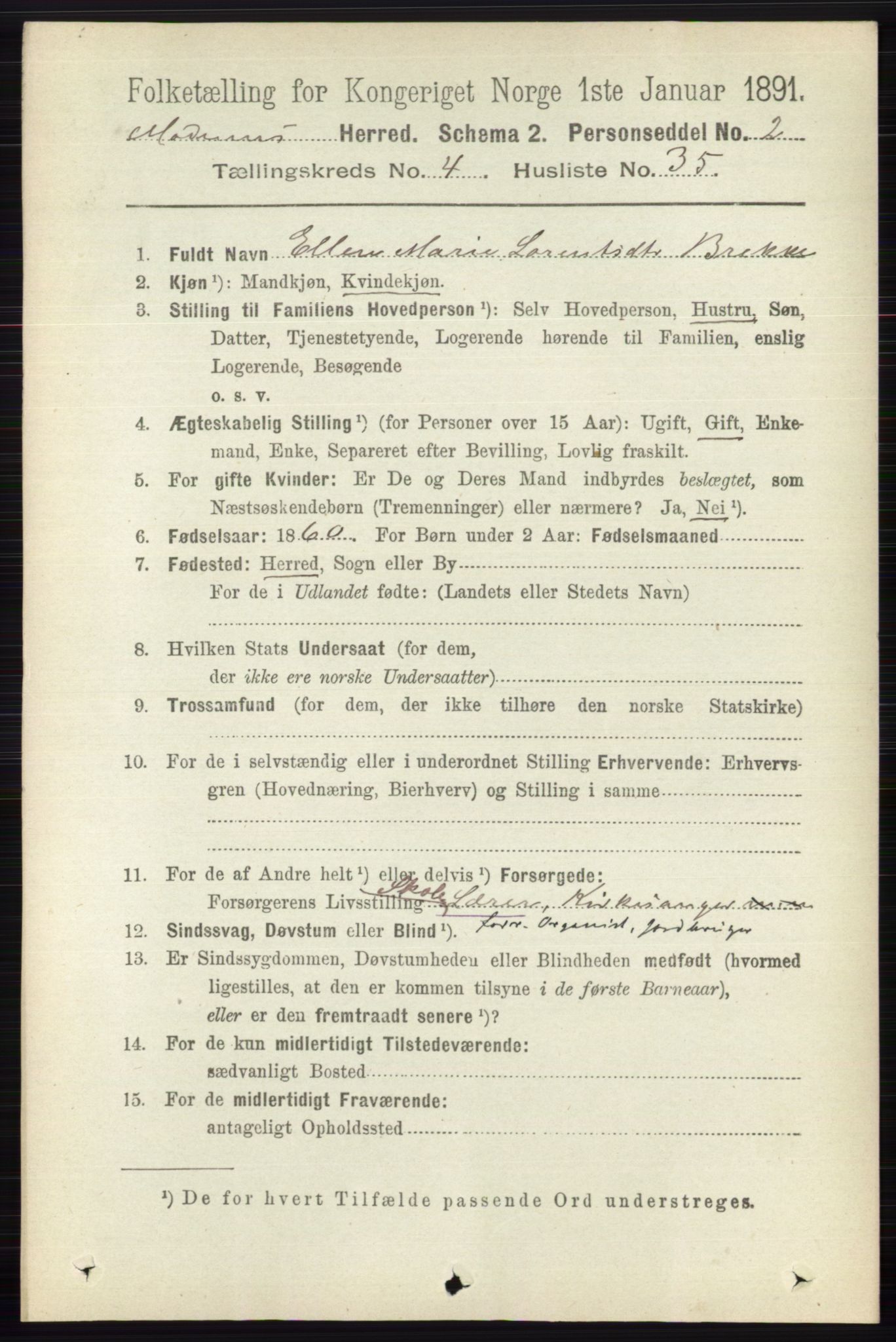 RA, 1891 census for 0623 Modum, 1891, p. 1200