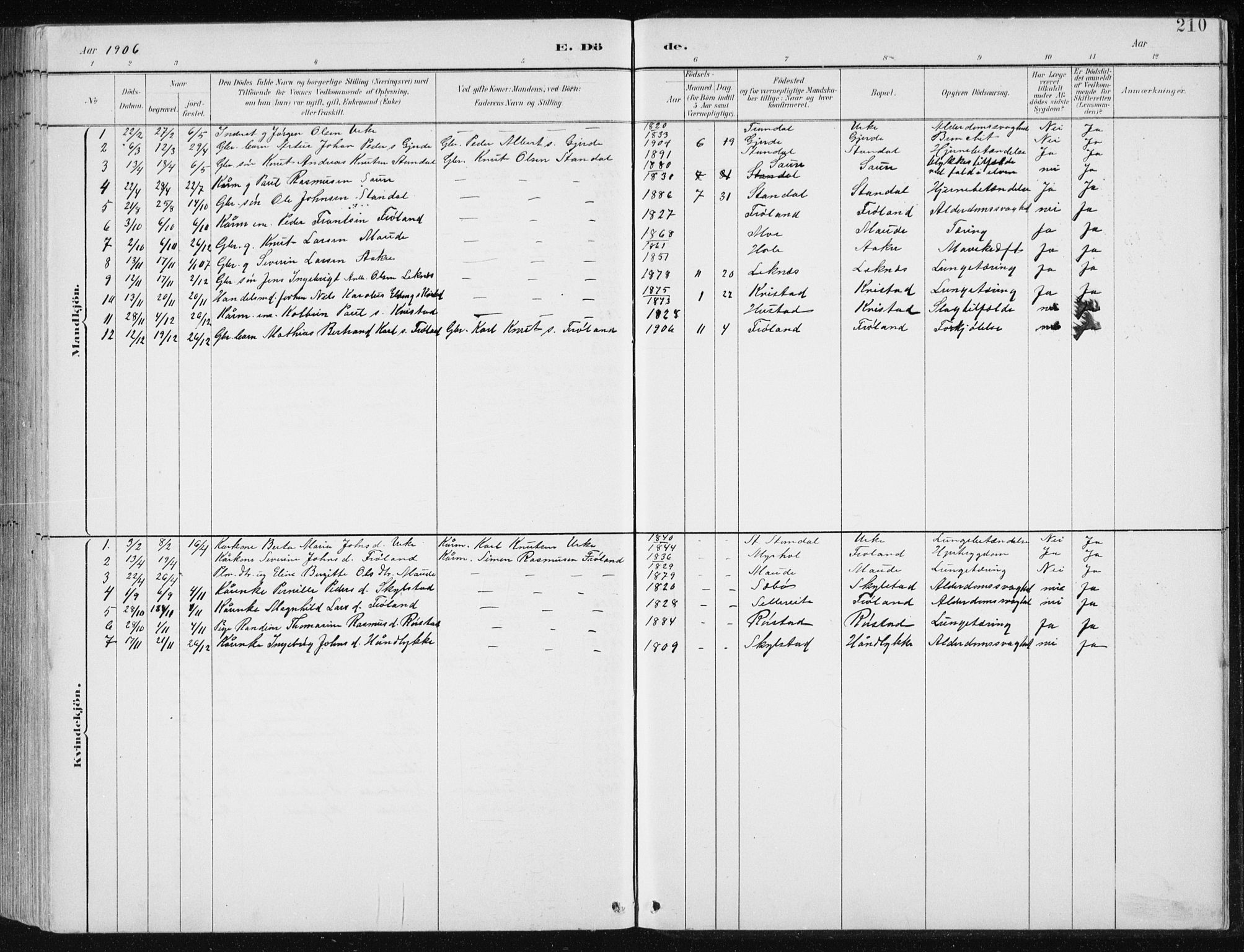 Ministerialprotokoller, klokkerbøker og fødselsregistre - Møre og Romsdal, AV/SAT-A-1454/515/L0215: Parish register (copy) no. 515C02, 1884-1906, p. 210