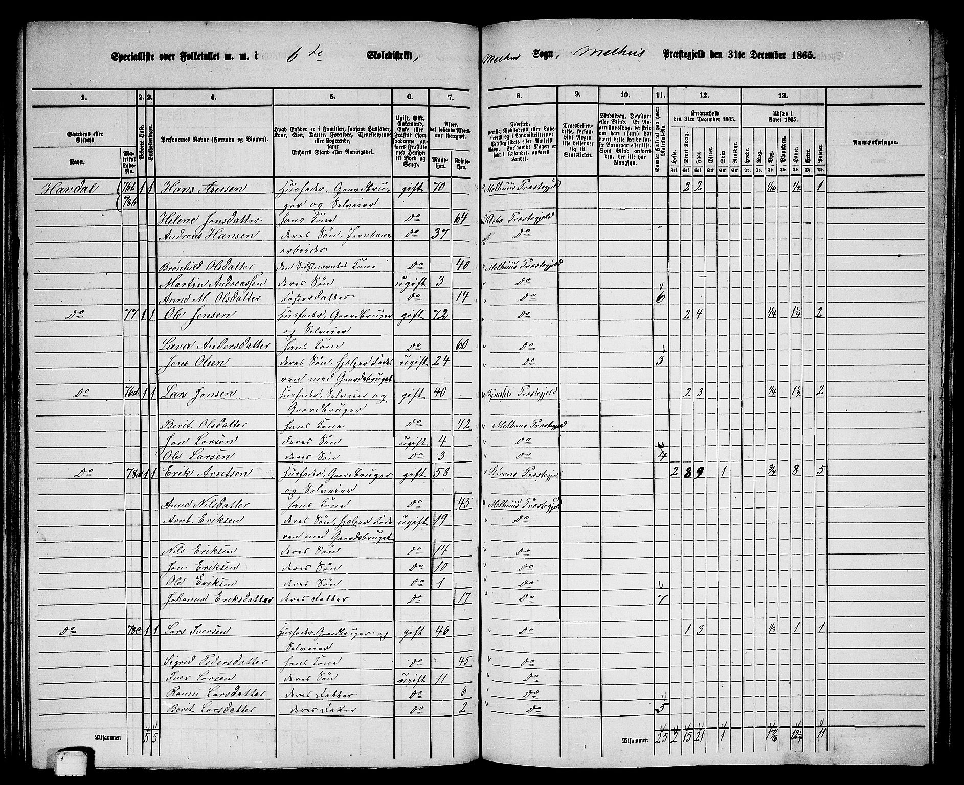 RA, 1865 census for Melhus, 1865, p. 126