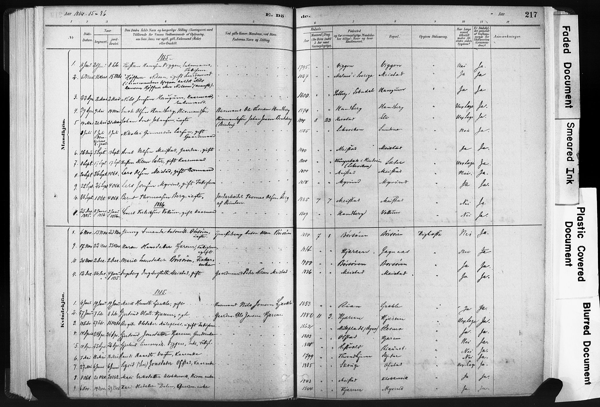 Ministerialprotokoller, klokkerbøker og fødselsregistre - Sør-Trøndelag, SAT/A-1456/665/L0773: Parish register (official) no. 665A08, 1879-1905, p. 217