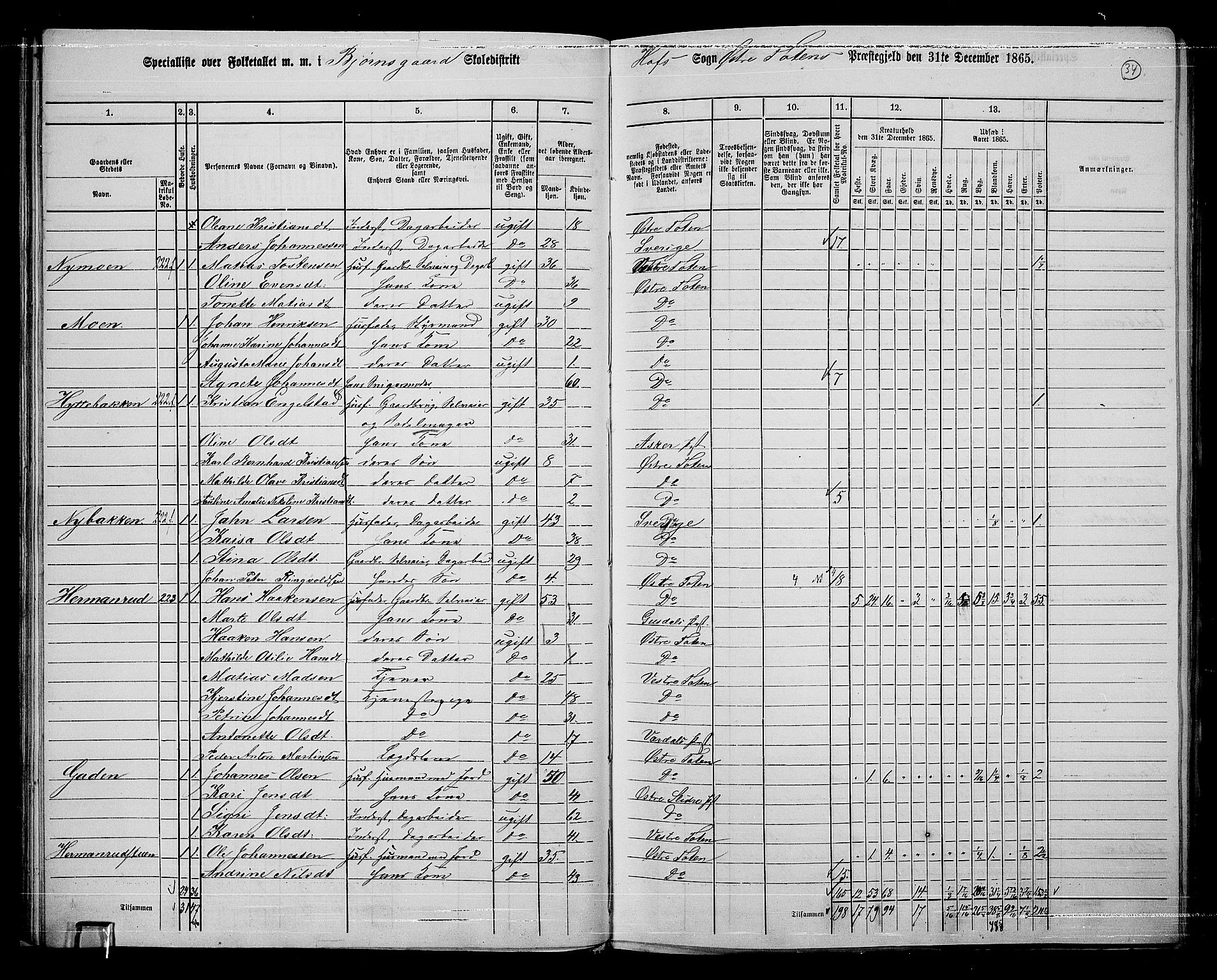 RA, 1865 census for Østre Toten, 1865, p. 163