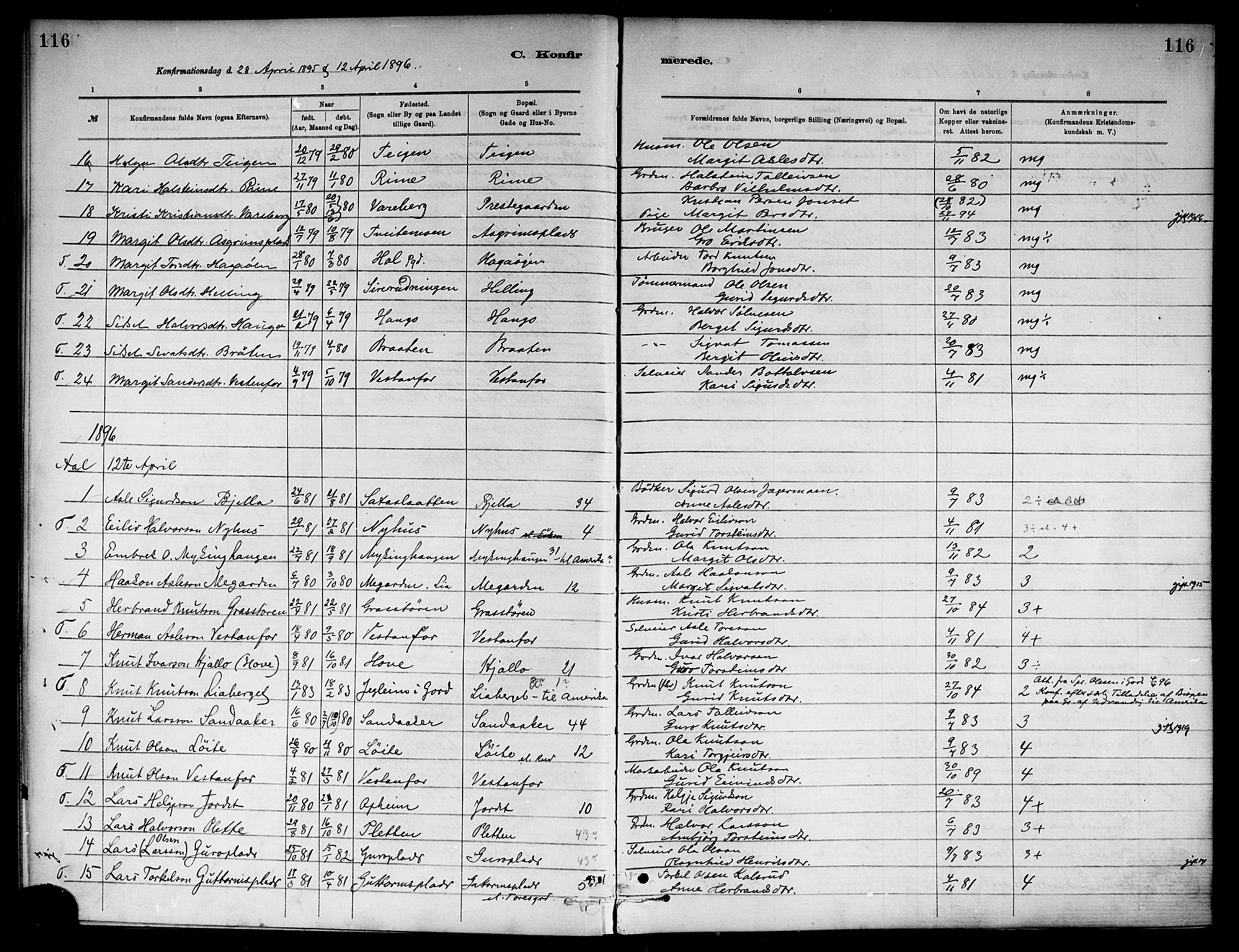 Ål kirkebøker, SAKO/A-249/F/Fa/L0008: Parish register (official) no. I 8, 1882-1896, p. 116