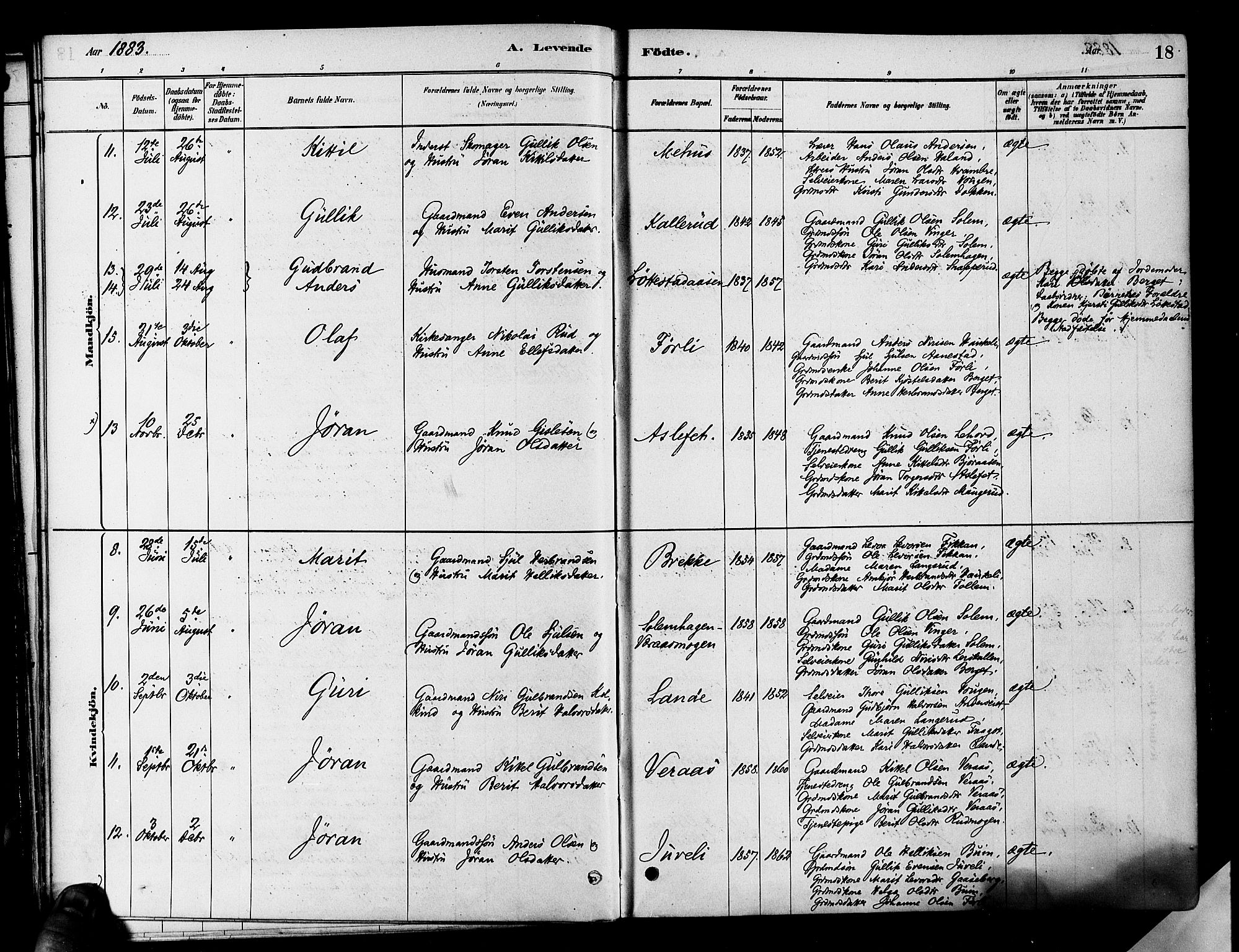 Flesberg kirkebøker, SAKO/A-18/F/Fa/L0008: Parish register (official) no. I 8, 1879-1899, p. 18
