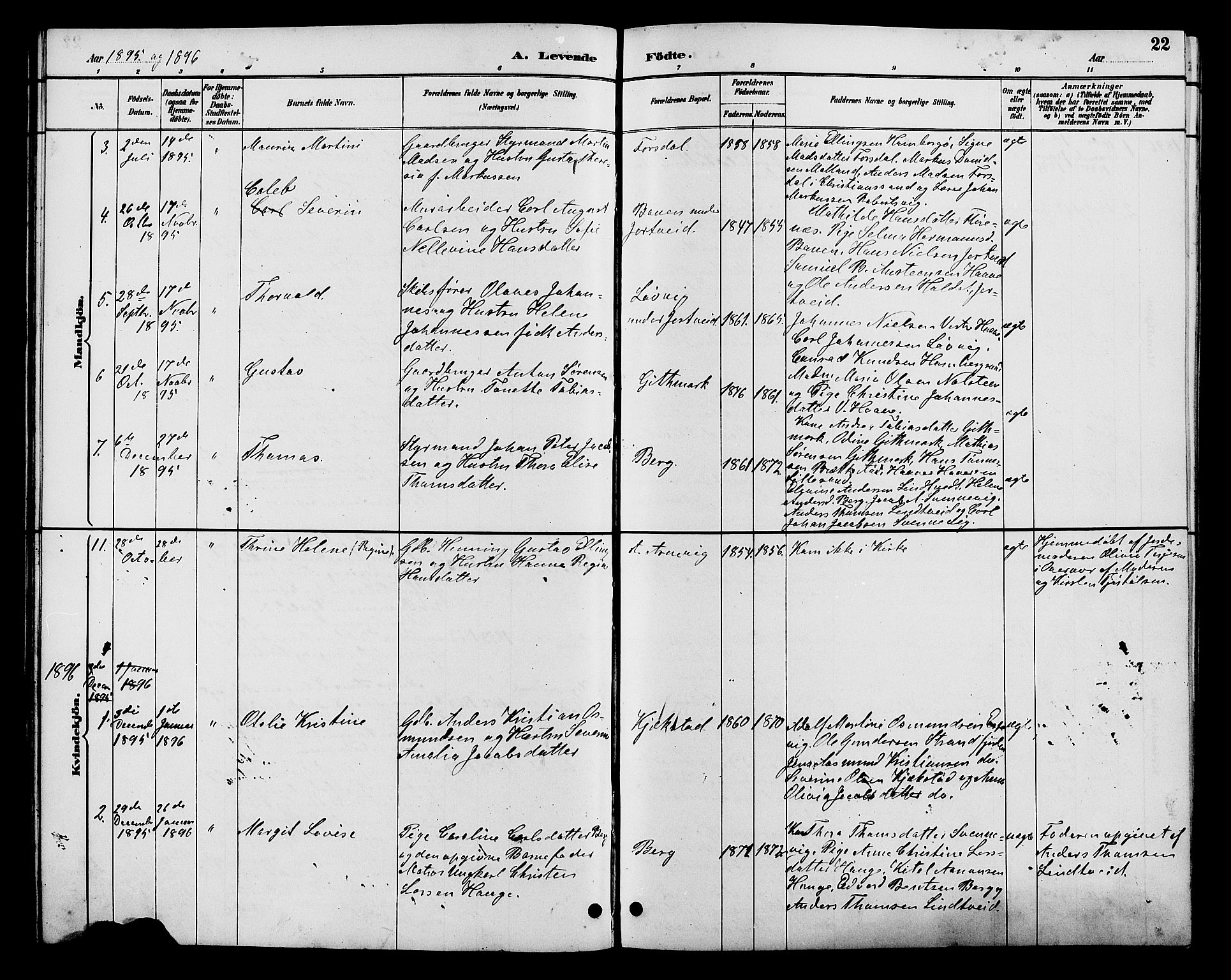 Hommedal sokneprestkontor, AV/SAK-1111-0023/F/Fb/Fba/L0004: Parish register (copy) no. B 4, 1885-1908, p. 22