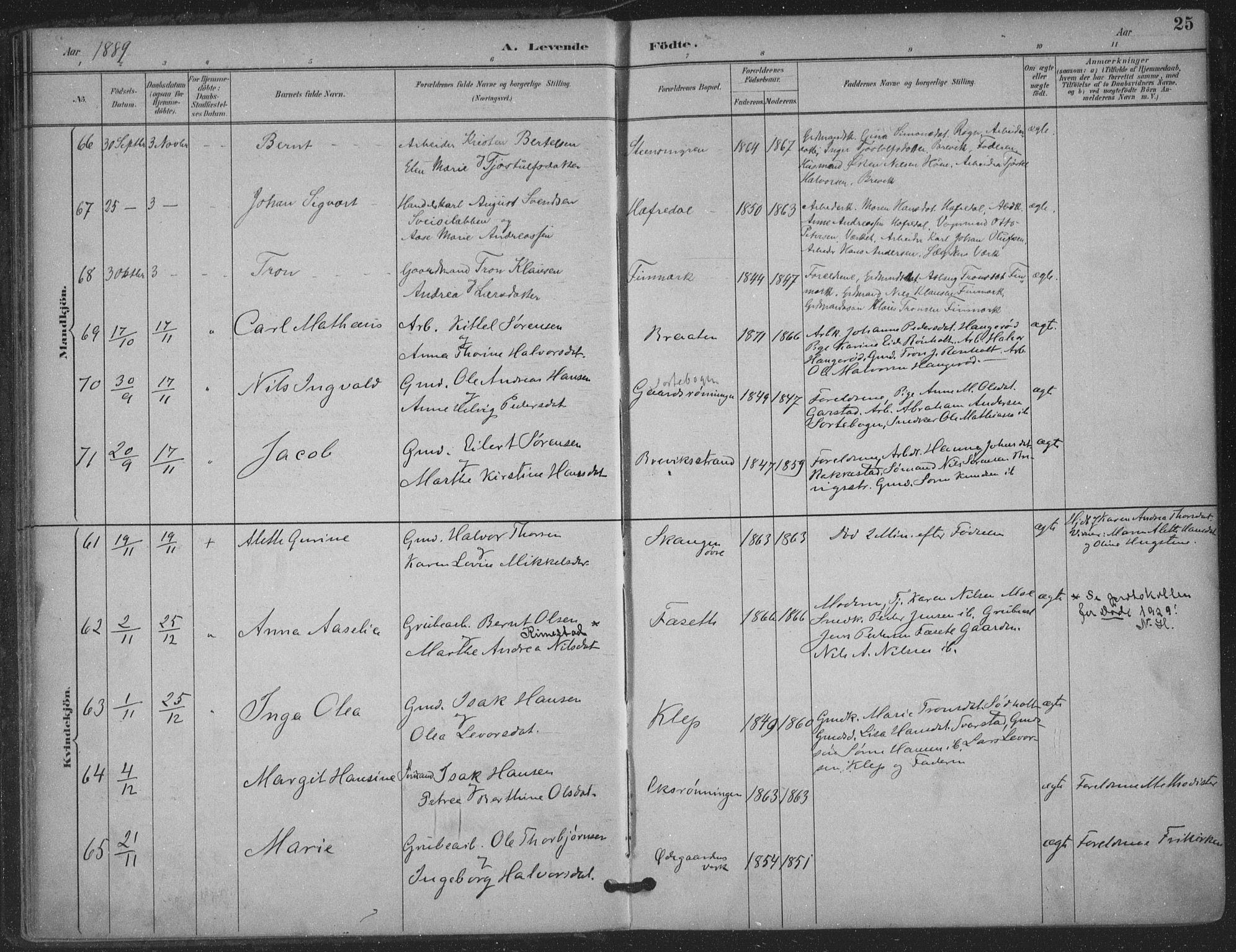 Bamble kirkebøker, SAKO/A-253/F/Fa/L0008: Parish register (official) no. I 8, 1888-1900, p. 25