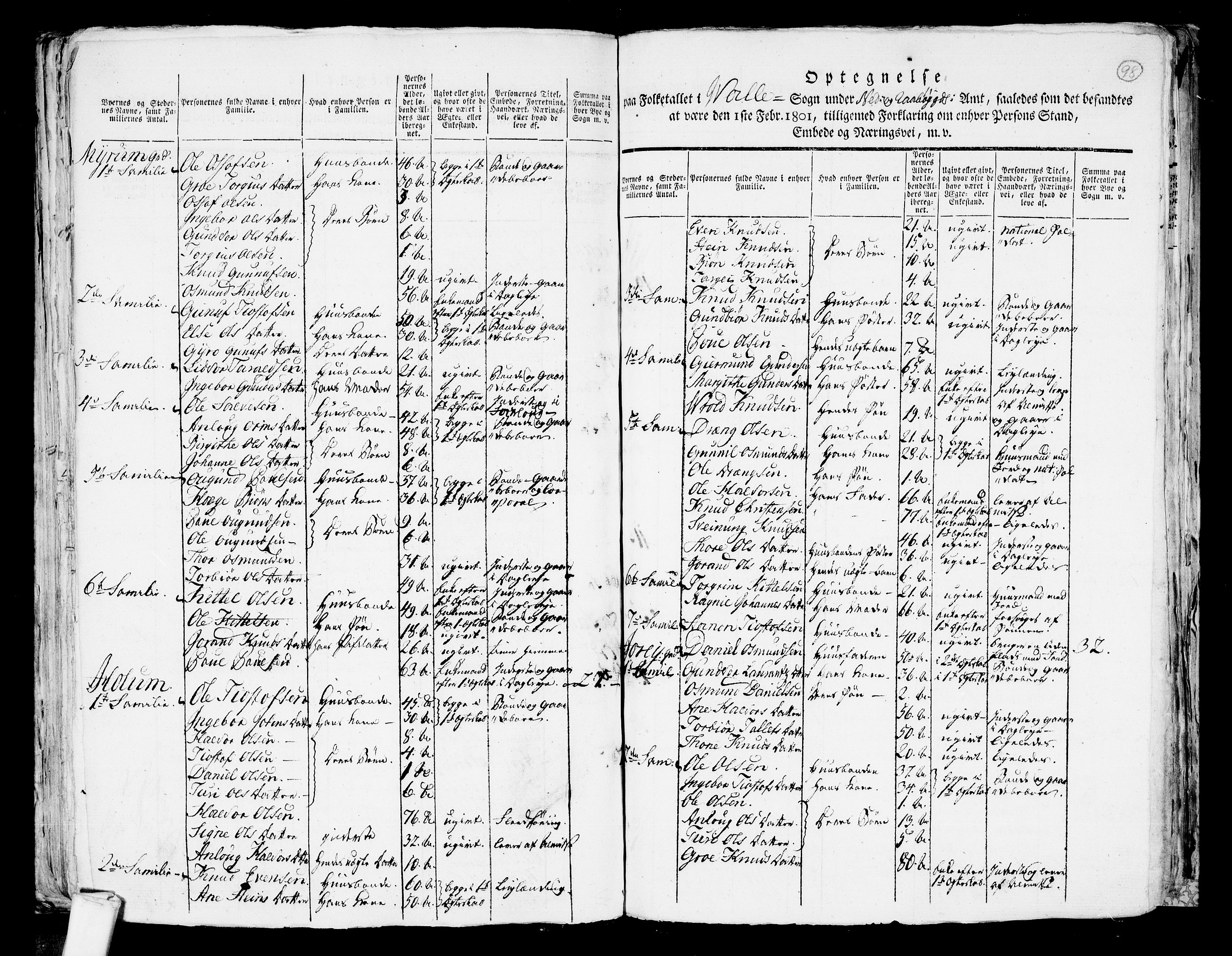 RA, 1801 census for 0940P Valle, 1801, p. 97b-98a