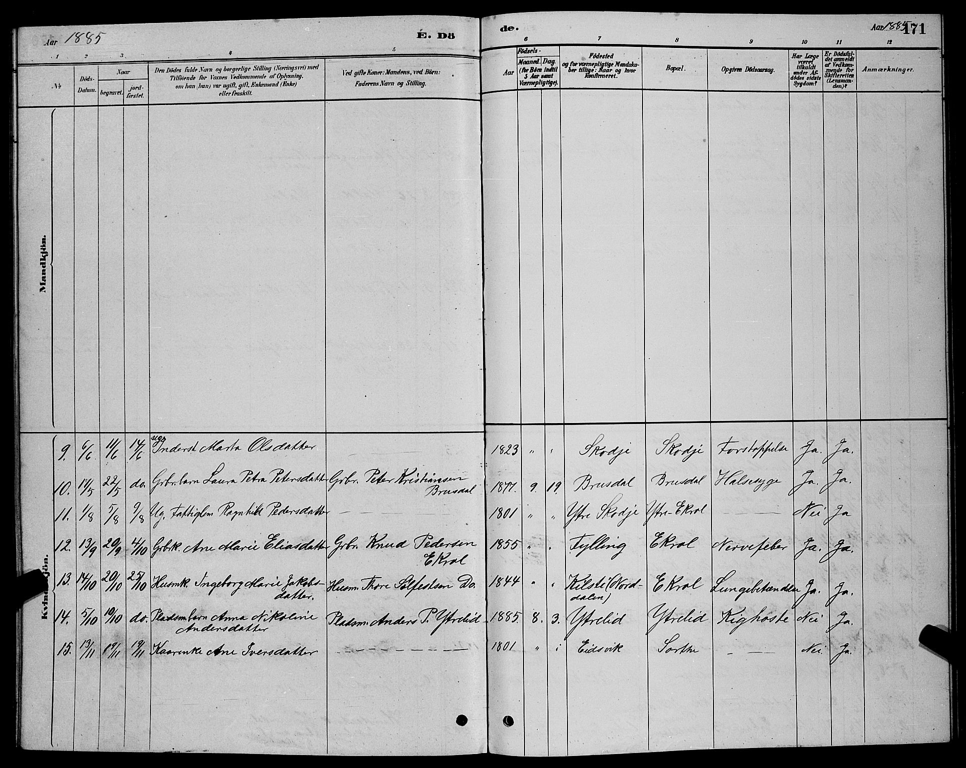 Ministerialprotokoller, klokkerbøker og fødselsregistre - Møre og Romsdal, AV/SAT-A-1454/524/L0365: Parish register (copy) no. 524C06, 1880-1899, p. 171