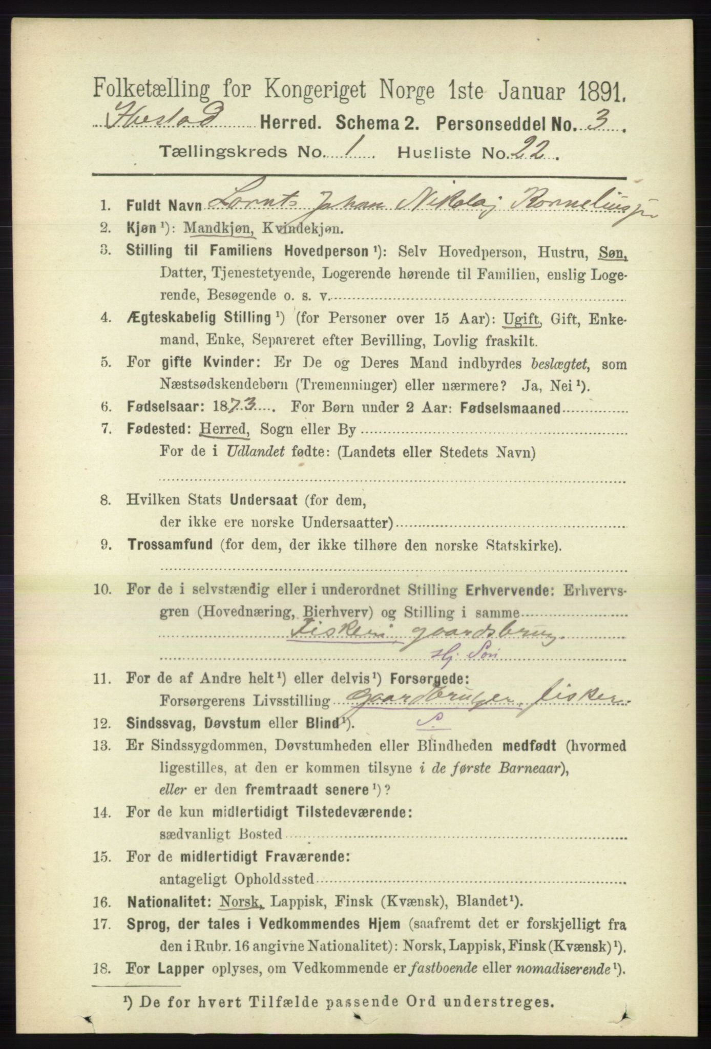RA, 1891 census for 1917 Ibestad, 1891, p. 276