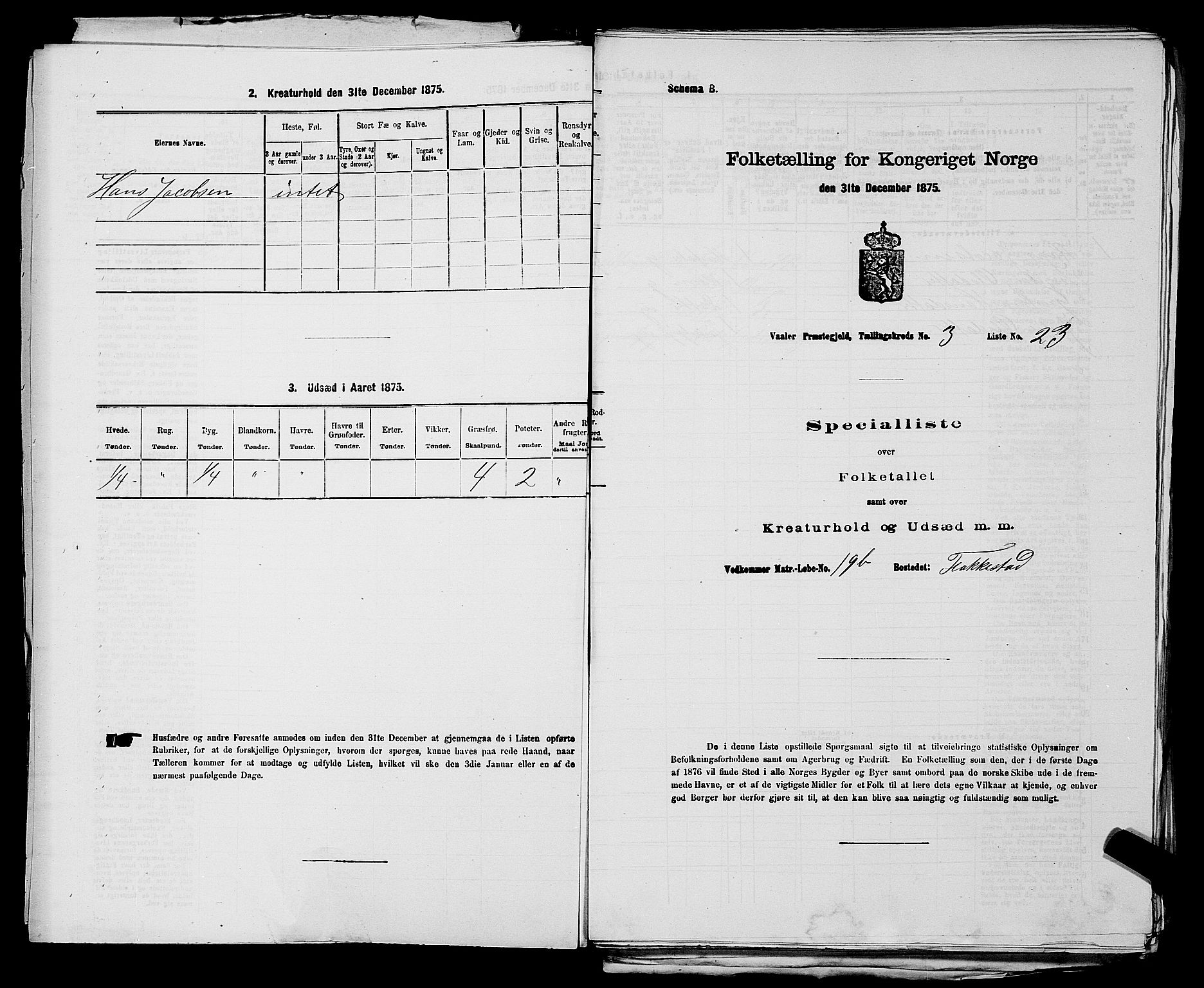 RA, 1875 census for 0137P Våler, 1875, p. 418