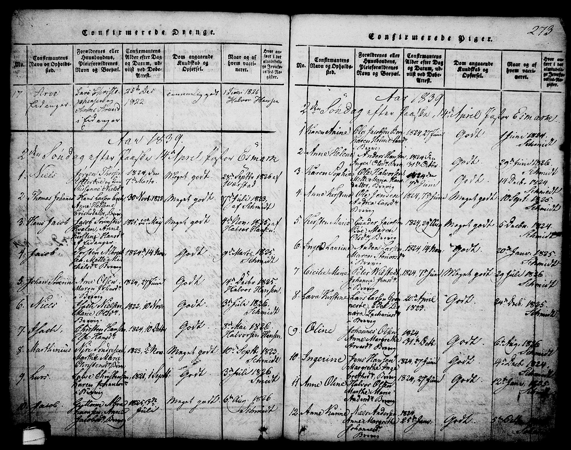 Brevik kirkebøker, SAKO/A-255/G/Ga/L0001: Parish register (copy) no. 1, 1814-1845, p. 273