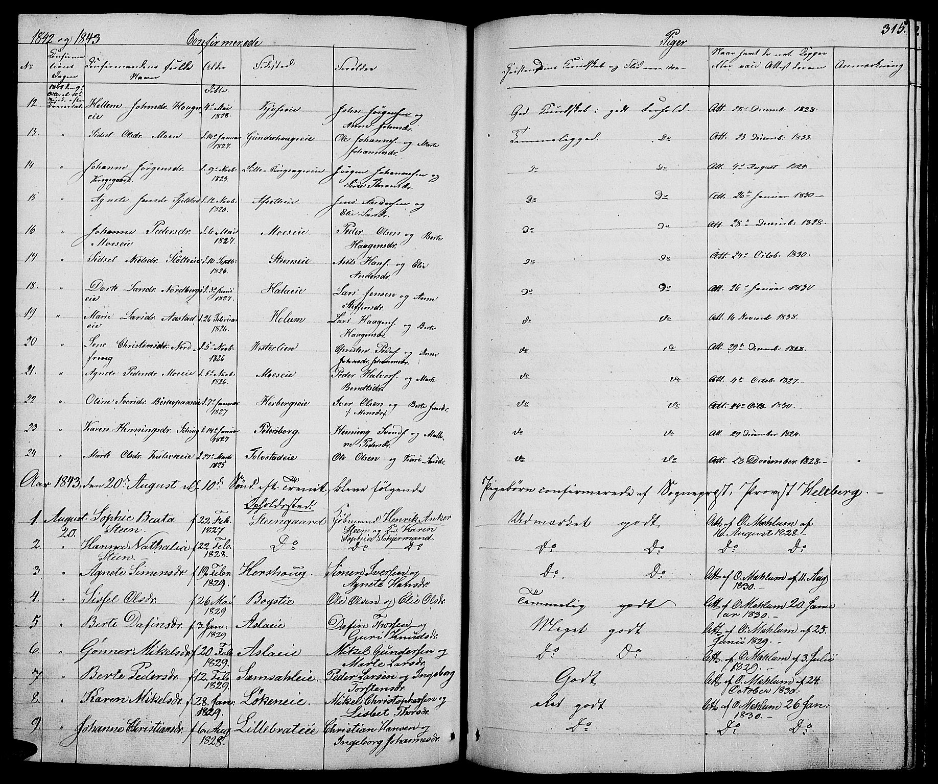 Ringsaker prestekontor, AV/SAH-PREST-014/L/La/L0005: Parish register (copy) no. 5, 1839-1850, p. 315