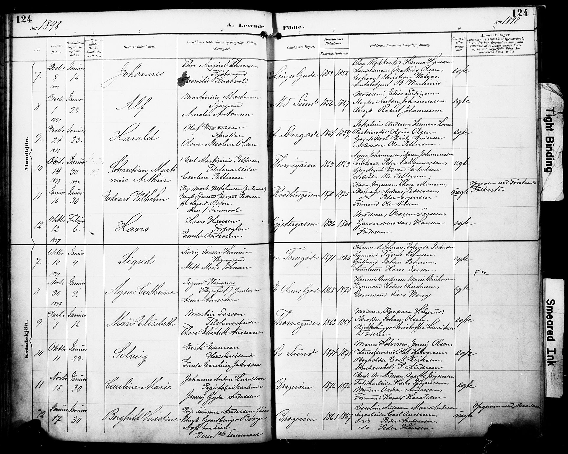 Bragernes kirkebøker, AV/SAKO-A-6/F/Fb/L0008: Parish register (official) no. II 8, 1894-1902, p. 124