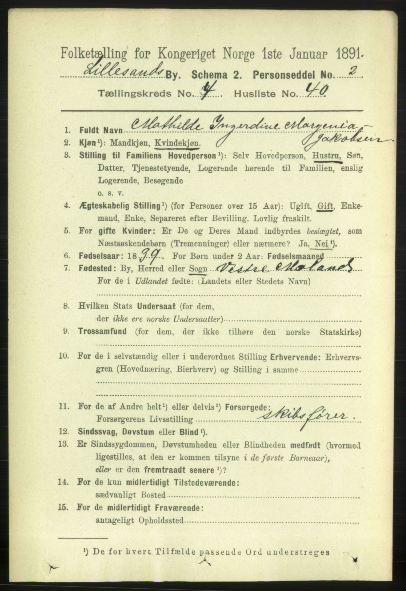 RA, 1891 census for 0905 Lillesand, 1891, p. 1376