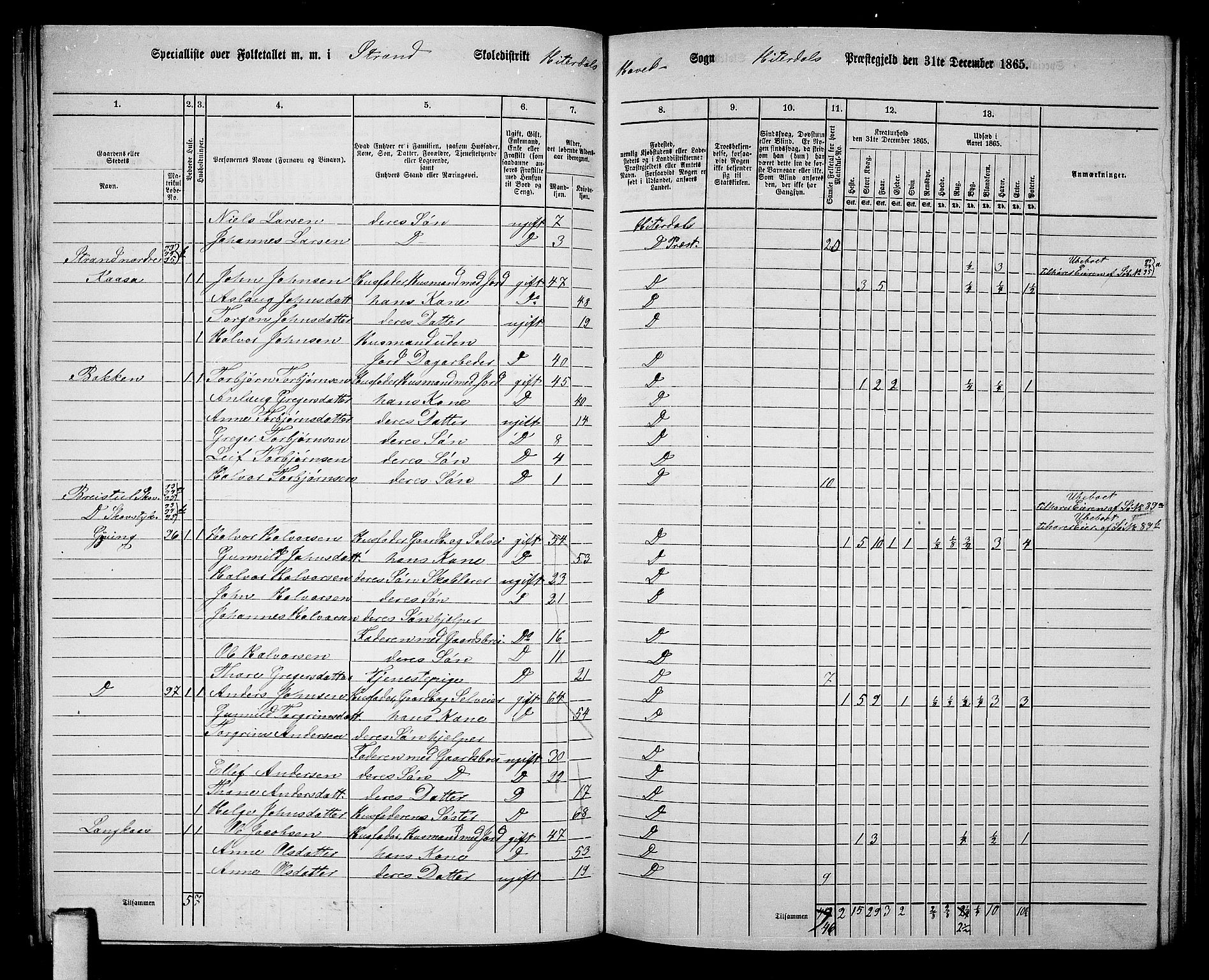 RA, 1865 census for Heddal, 1865, p. 91