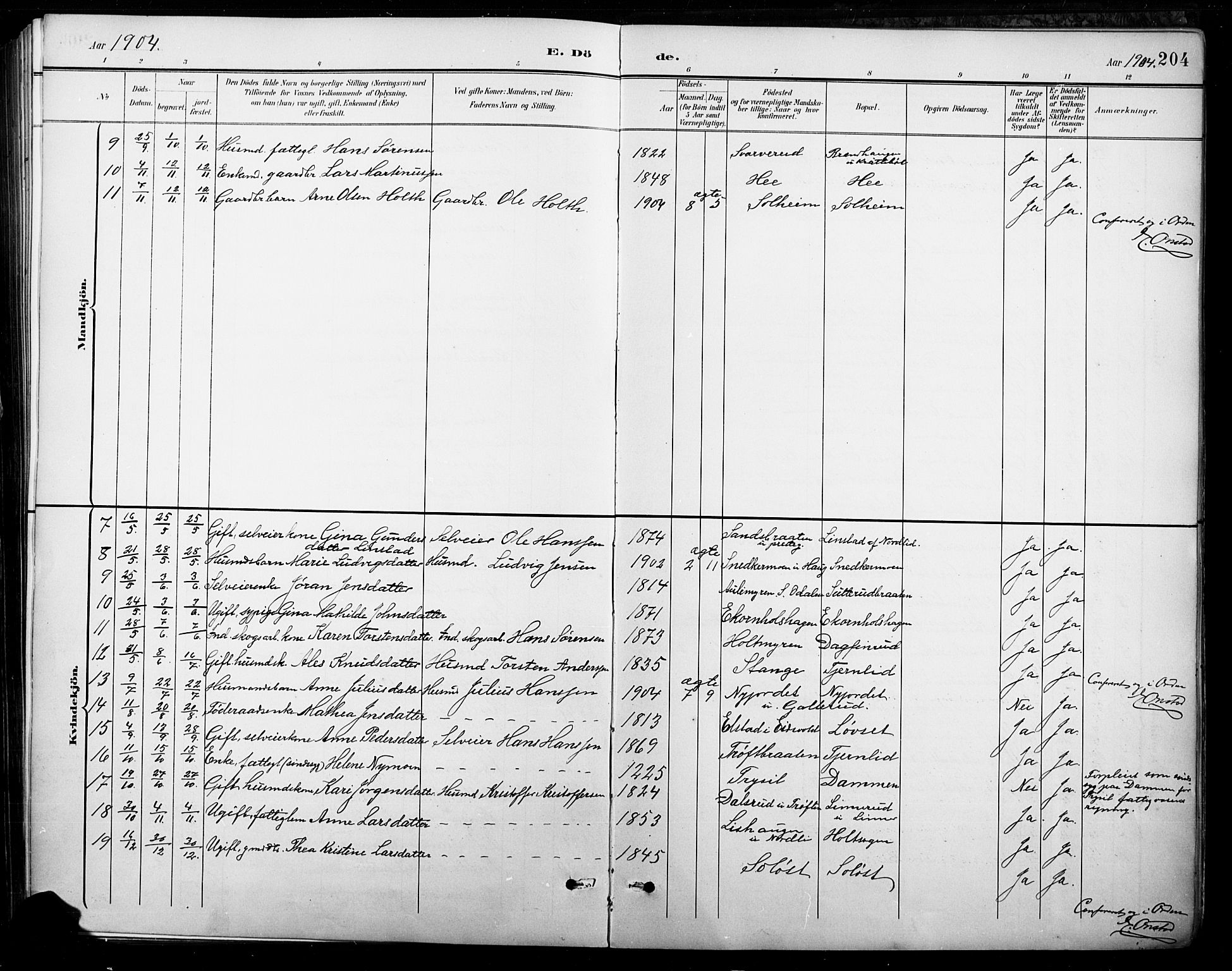 Nord-Odal prestekontor, AV/SAH-PREST-032/H/Ha/Hab/L0003: Parish register (copy) no. 3, 1895-1923, p. 204