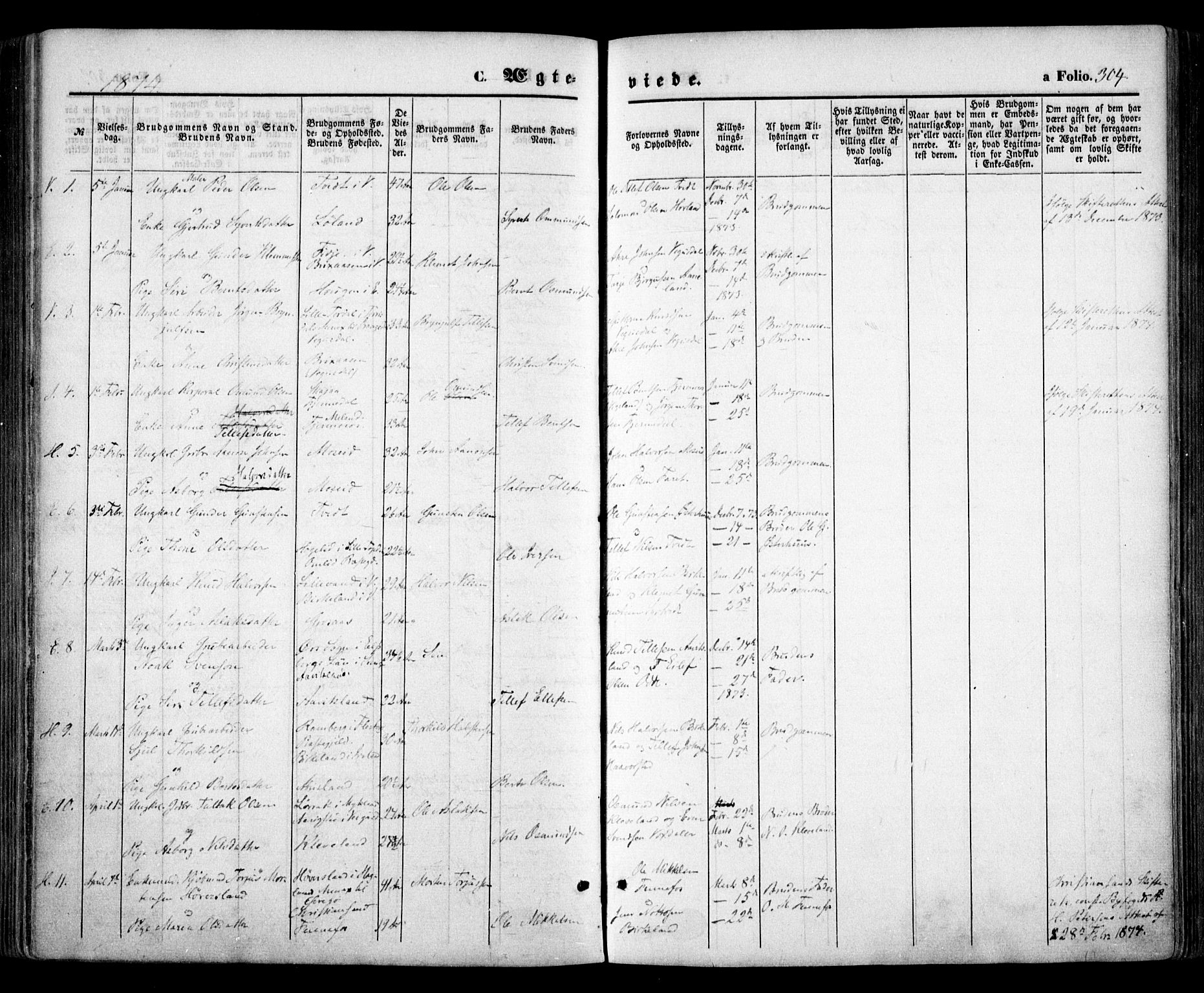 Evje sokneprestkontor, SAK/1111-0008/F/Fa/Faa/L0006: Parish register (official) no. A 6, 1866-1884, p. 304