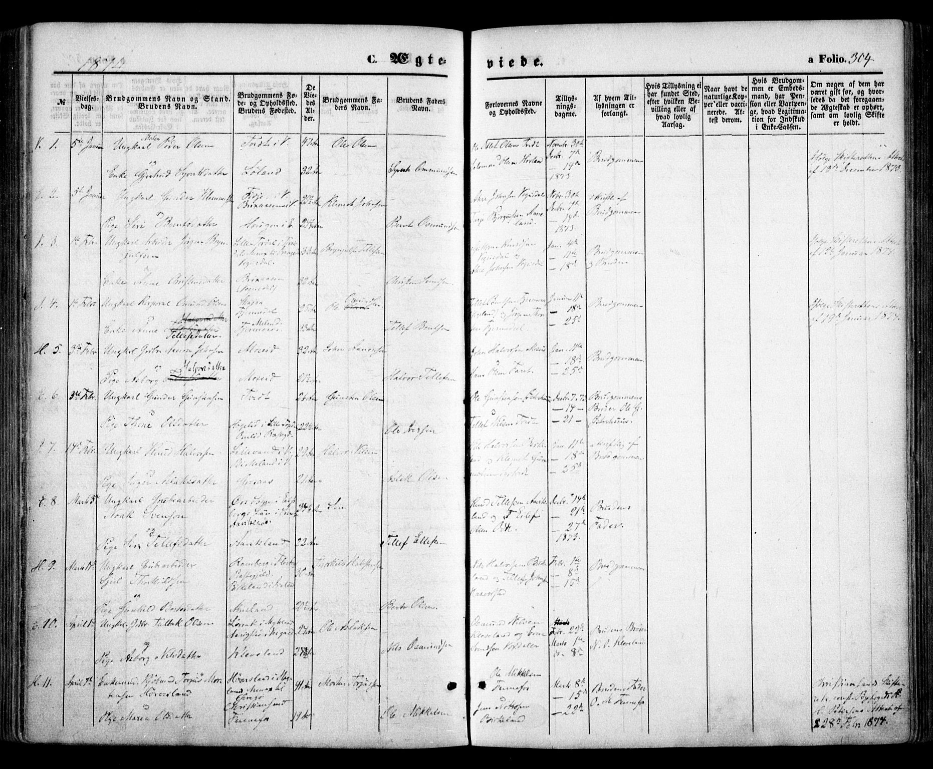 Evje sokneprestkontor, AV/SAK-1111-0008/F/Fa/Faa/L0006: Parish register (official) no. A 6, 1866-1884, p. 304