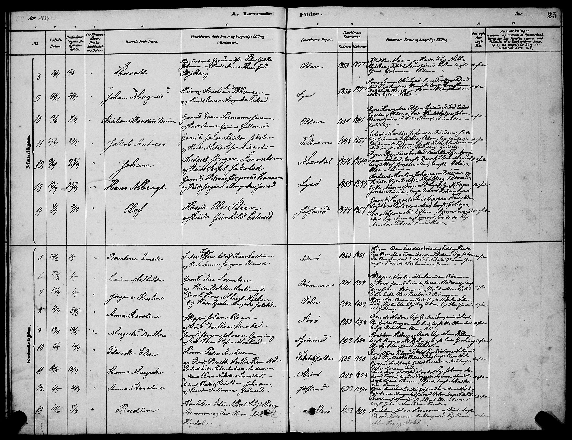 Ministerialprotokoller, klokkerbøker og fødselsregistre - Sør-Trøndelag, SAT/A-1456/654/L0665: Parish register (copy) no. 654C01, 1879-1901, p. 25