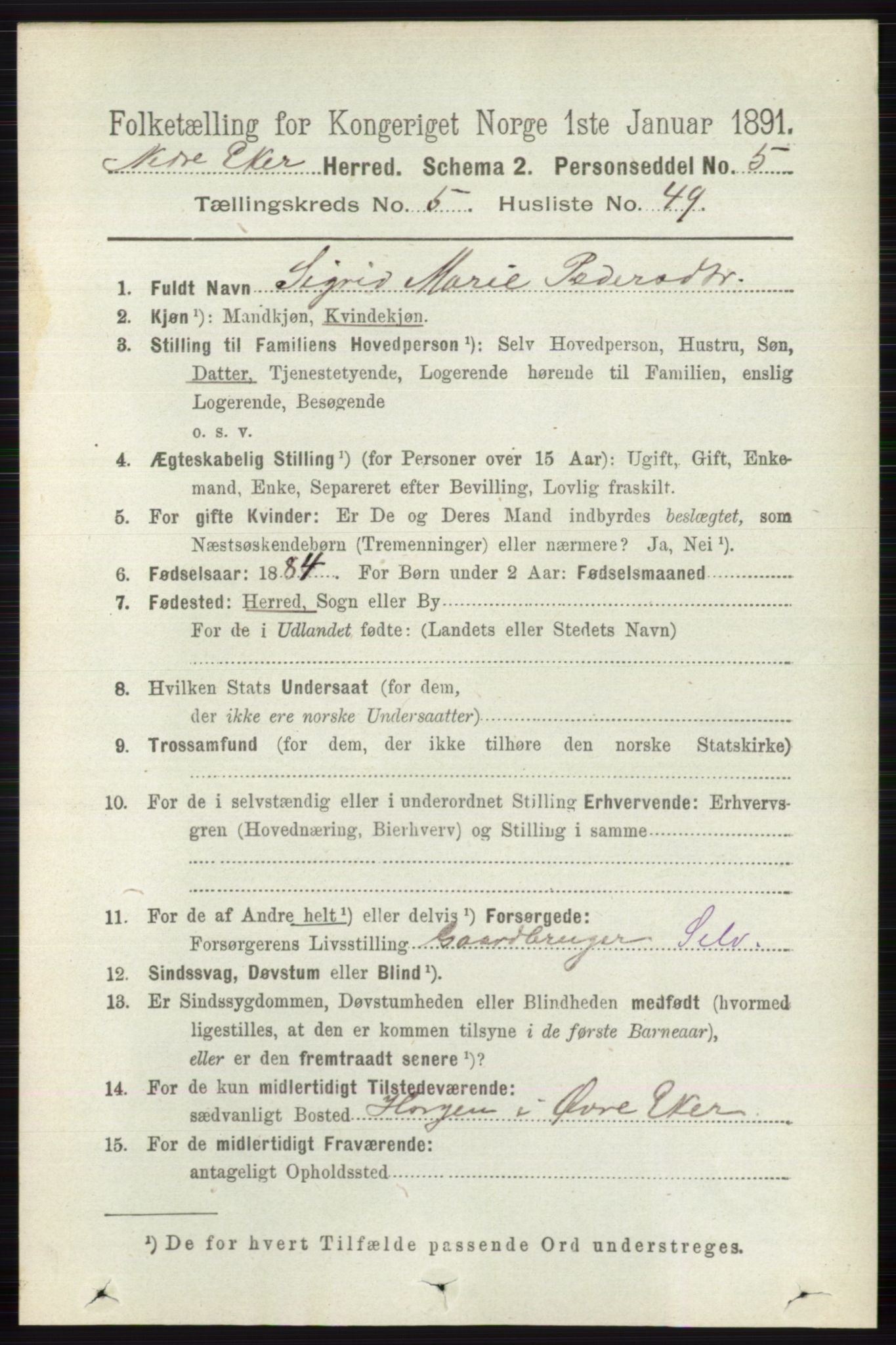 RA, 1891 census for 0625 Nedre Eiker, 1891, p. 2629