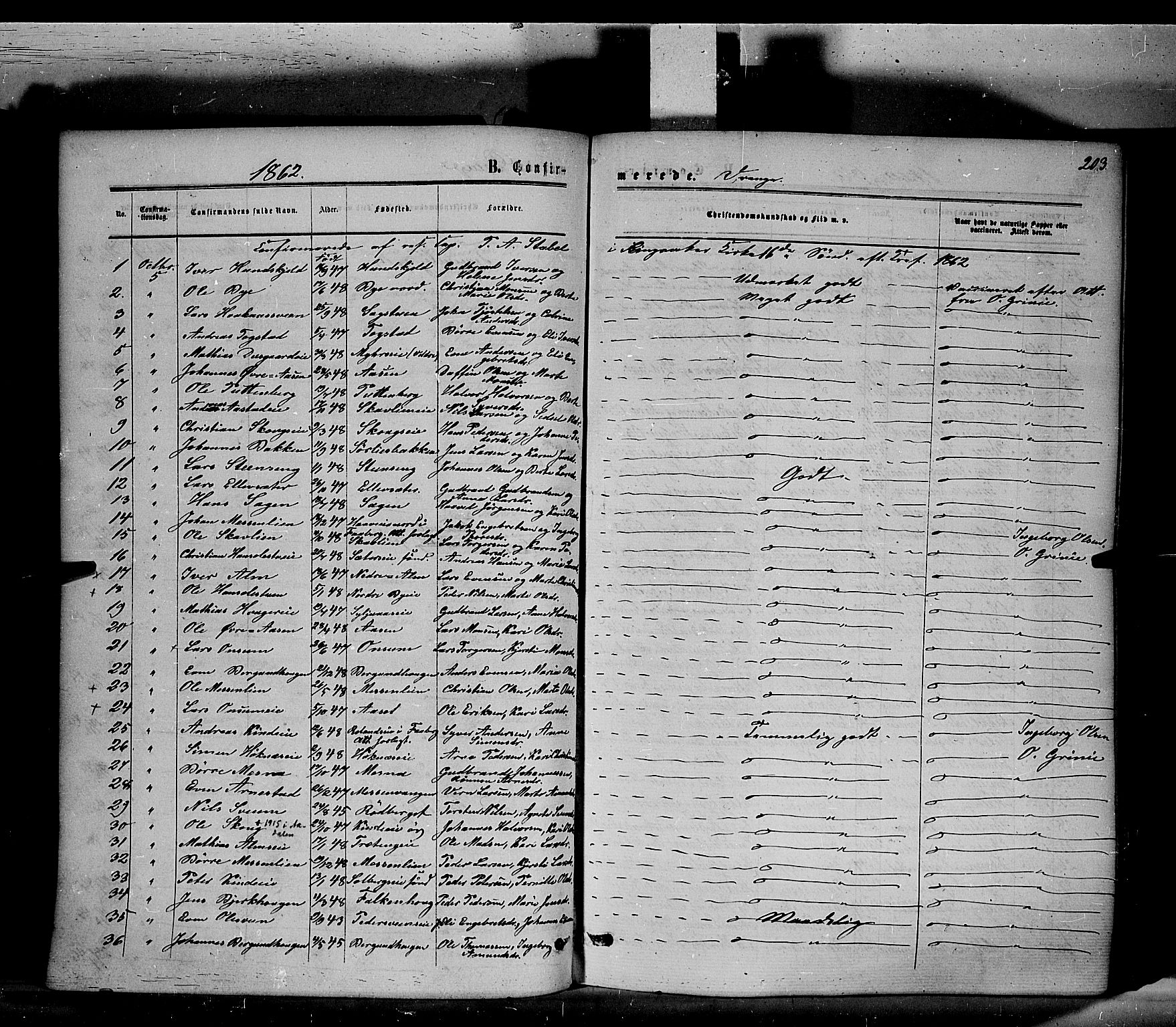 Ringsaker prestekontor, SAH/PREST-014/K/Ka/L0010: Parish register (official) no. 10, 1861-1869, p. 203