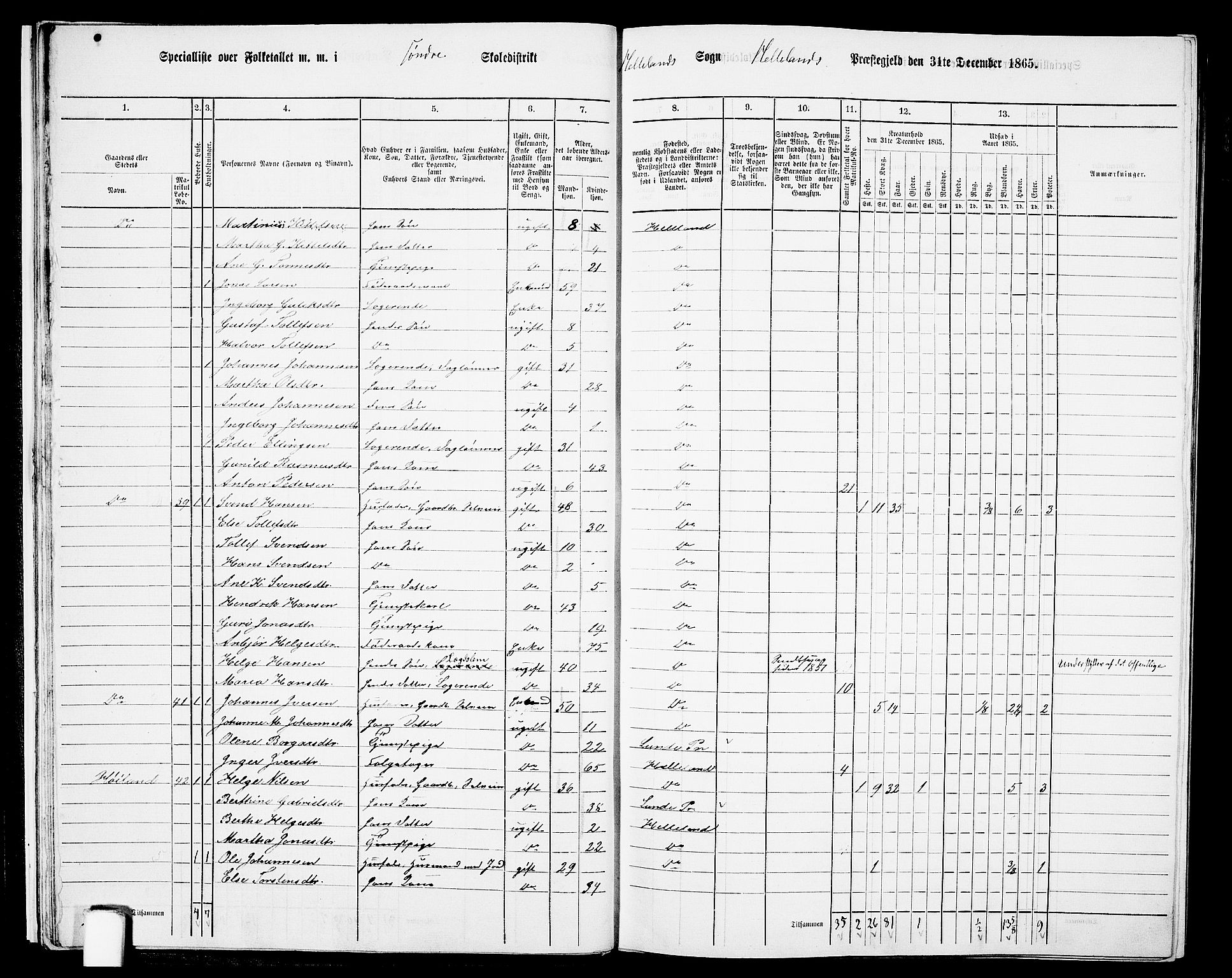 RA, 1865 census for Helleland, 1865, p. 19