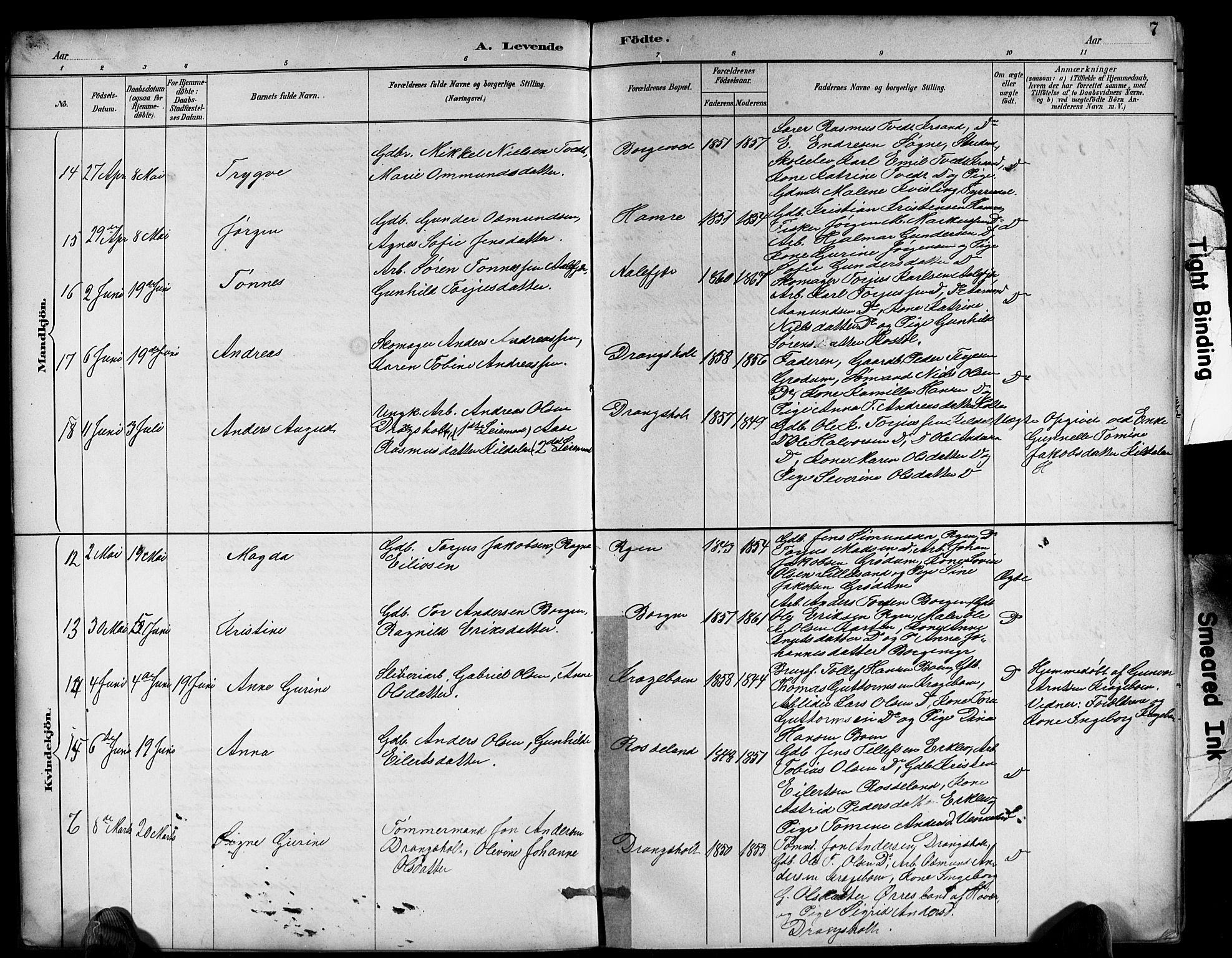 Tveit sokneprestkontor, AV/SAK-1111-0043/F/Fb/L0004: Parish register (copy) no. B 4, 1887-1914, p. 7