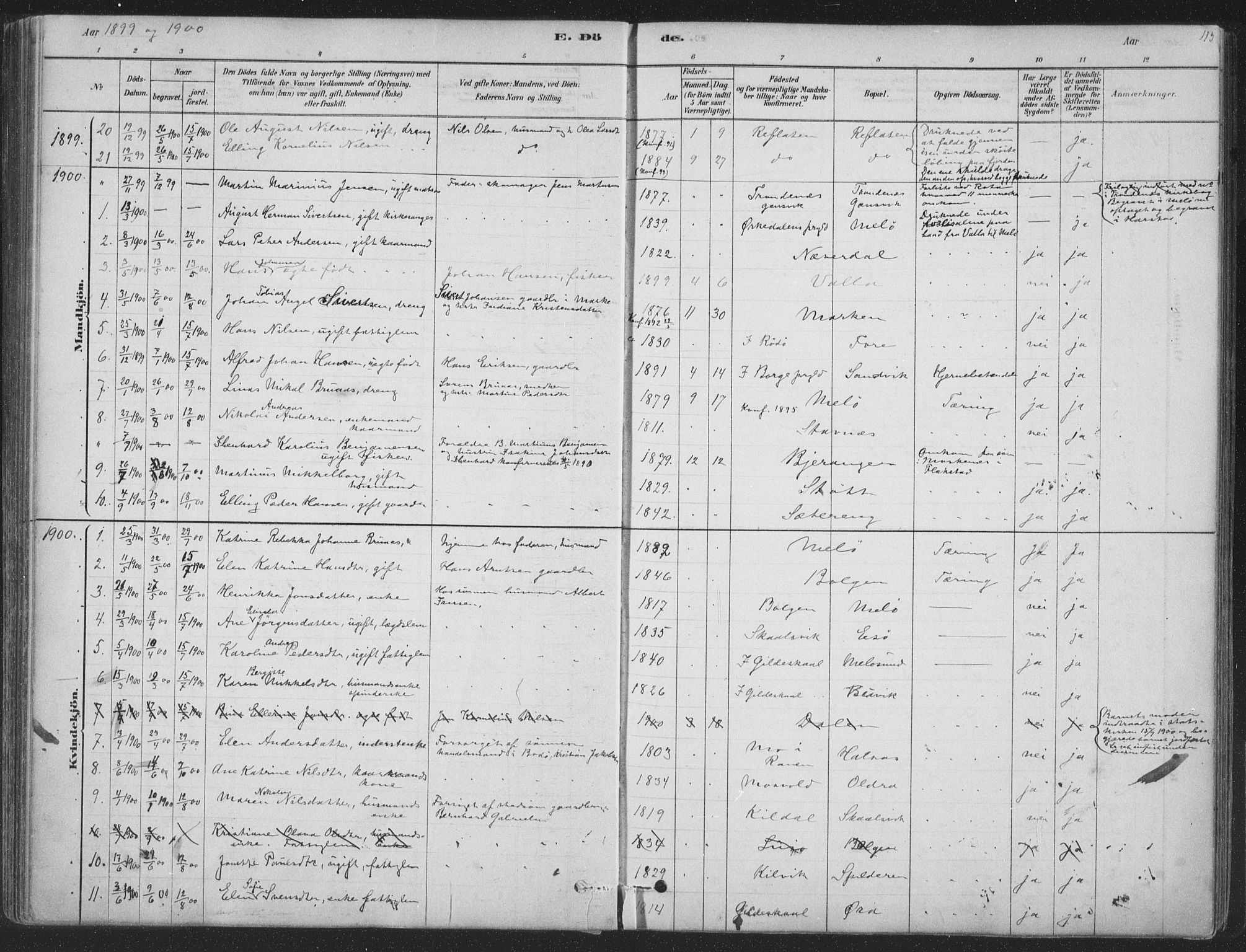 Ministerialprotokoller, klokkerbøker og fødselsregistre - Nordland, SAT/A-1459/843/L0627: Parish register (official) no. 843A02, 1878-1908, p. 115