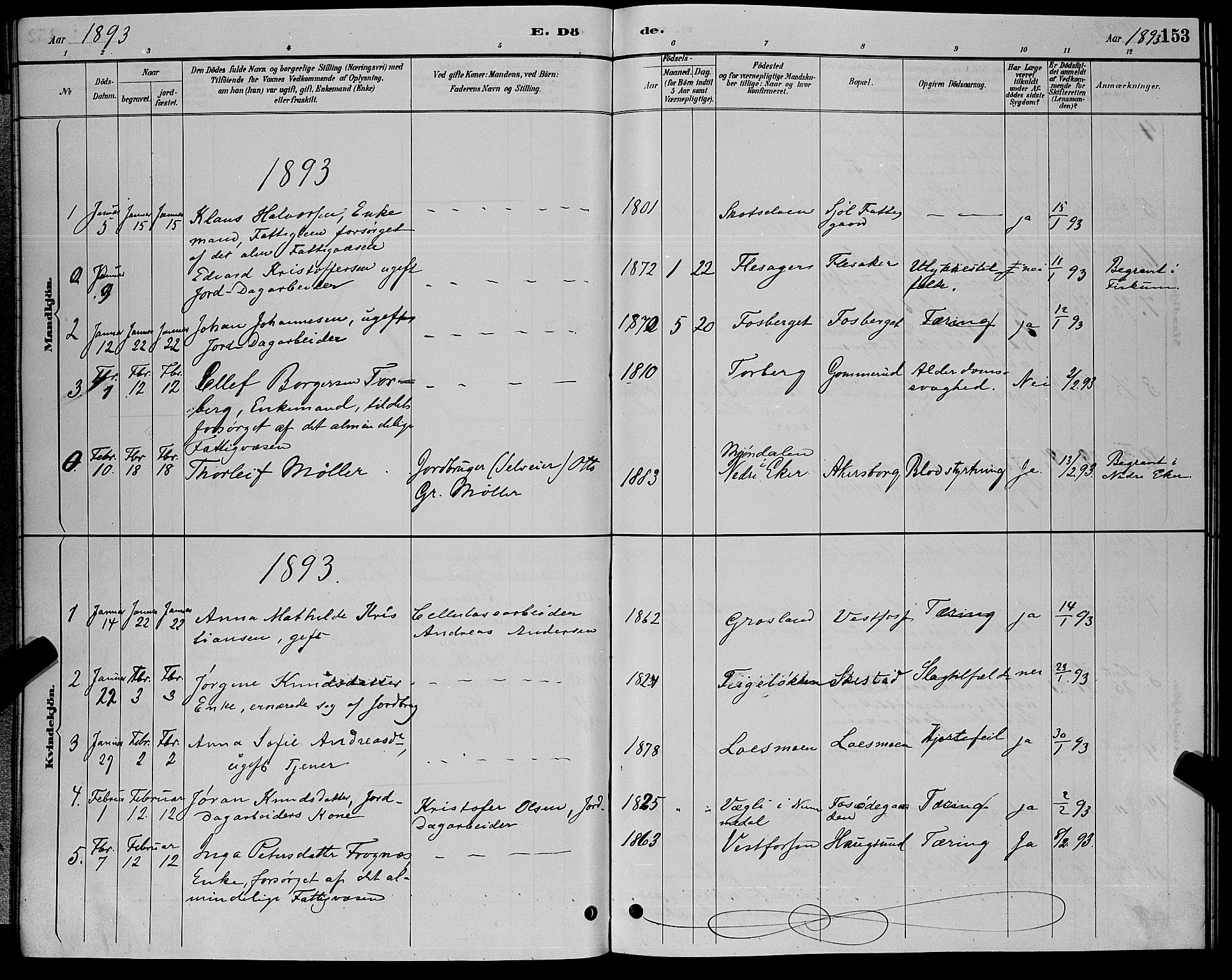 Eiker kirkebøker, SAKO/A-4/G/Ga/L0006: Parish register (copy) no. I 6, 1885-1893, p. 153
