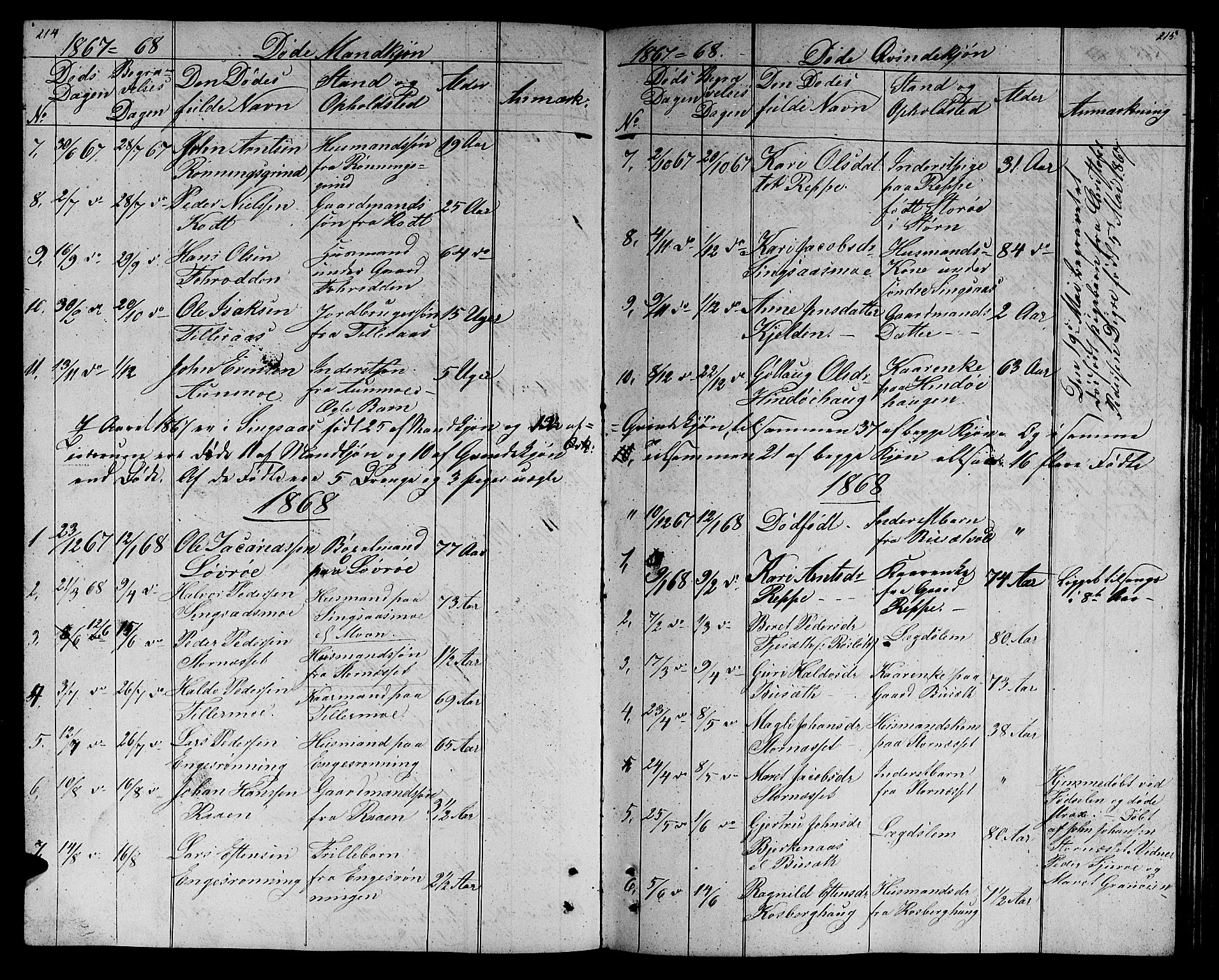 Ministerialprotokoller, klokkerbøker og fødselsregistre - Sør-Trøndelag, AV/SAT-A-1456/688/L1027: Parish register (copy) no. 688C02, 1861-1889, p. 214-215