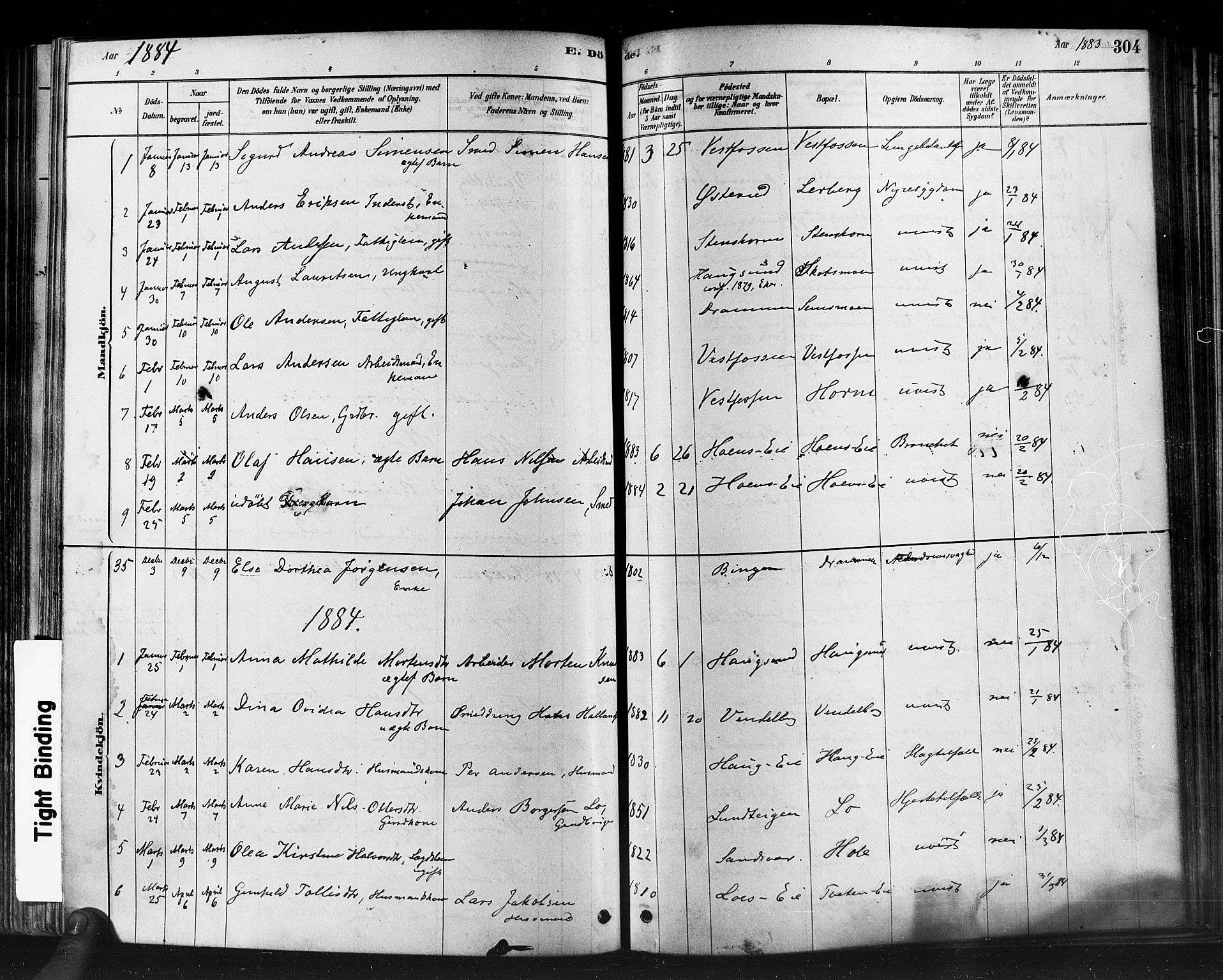 Eiker kirkebøker, SAKO/A-4/F/Fb/L0001: Parish register (official) no. II 1, 1878-1888, p. 304